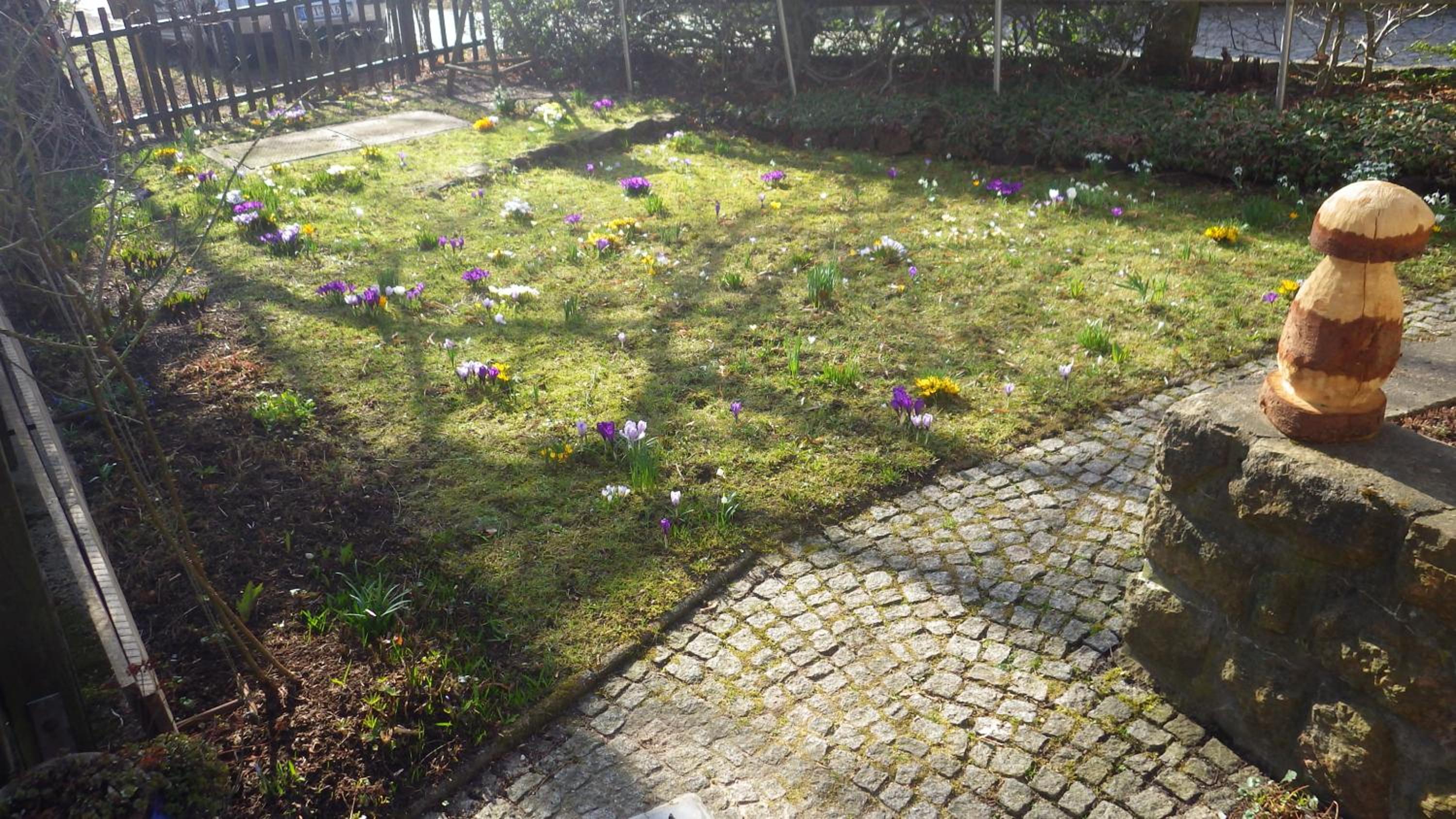 Ferienhaus Frieda