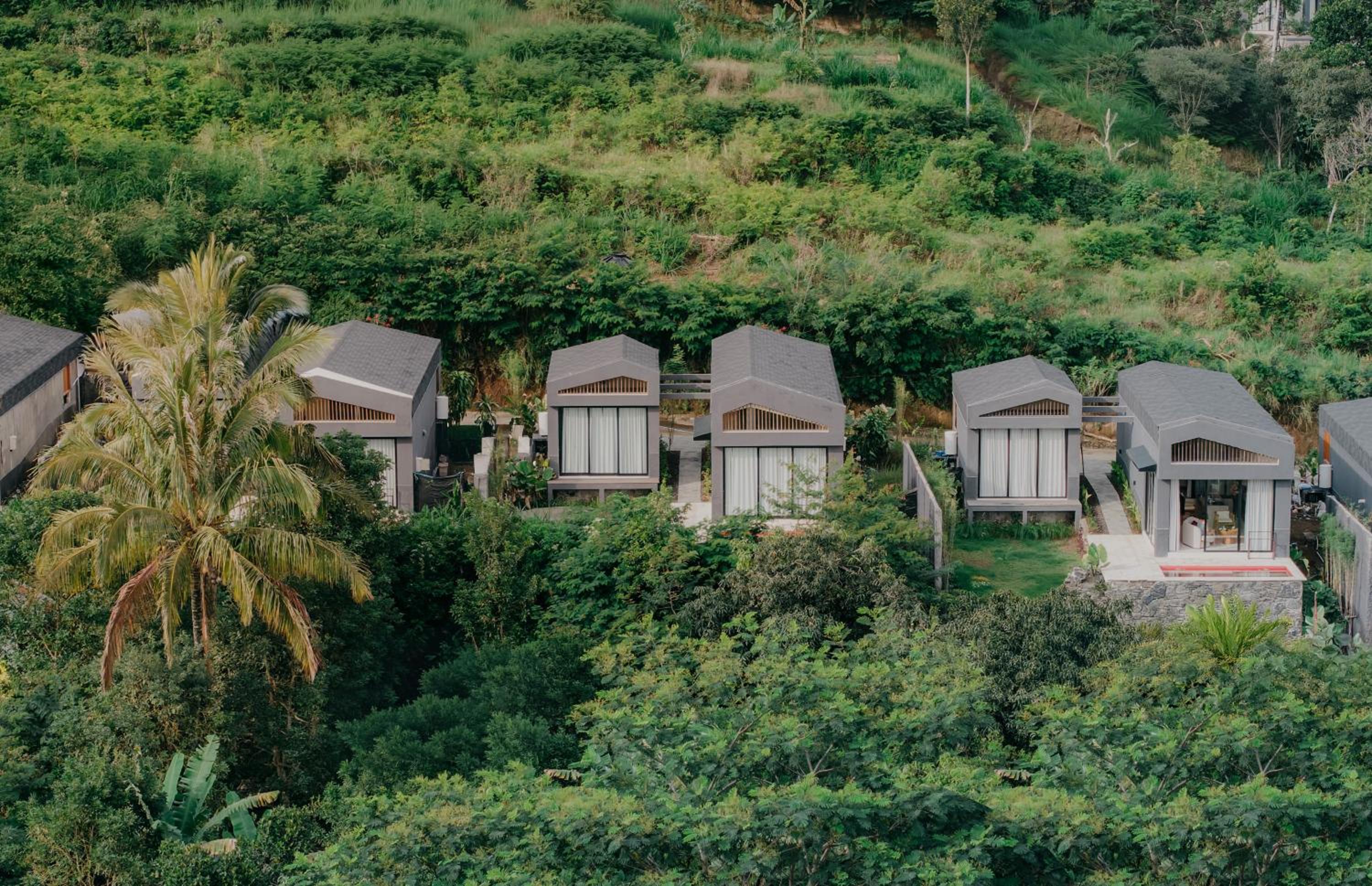 Pakubon Kintamani