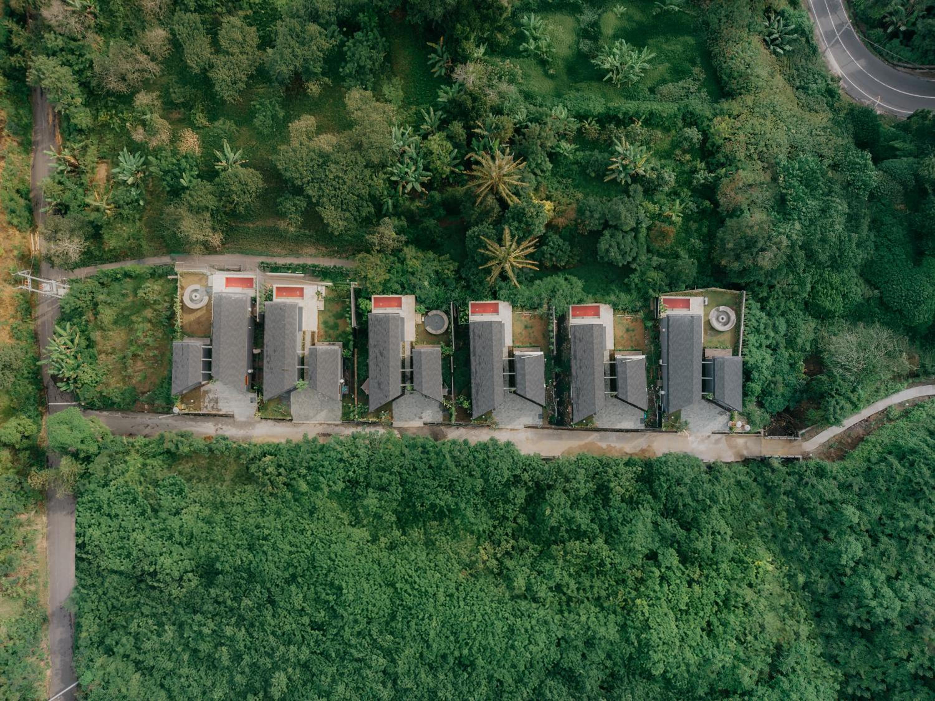 Pakubon Kintamani