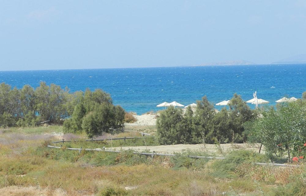 Studio Tolakis