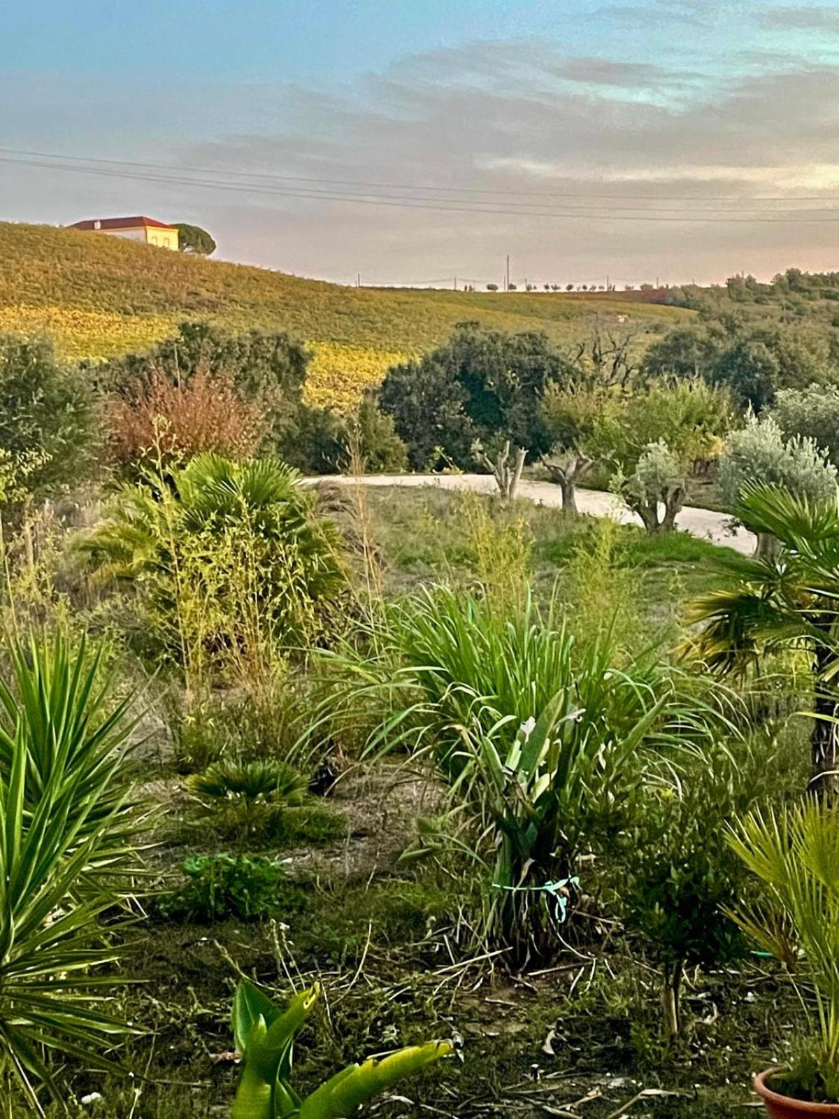 Maçussa Country House