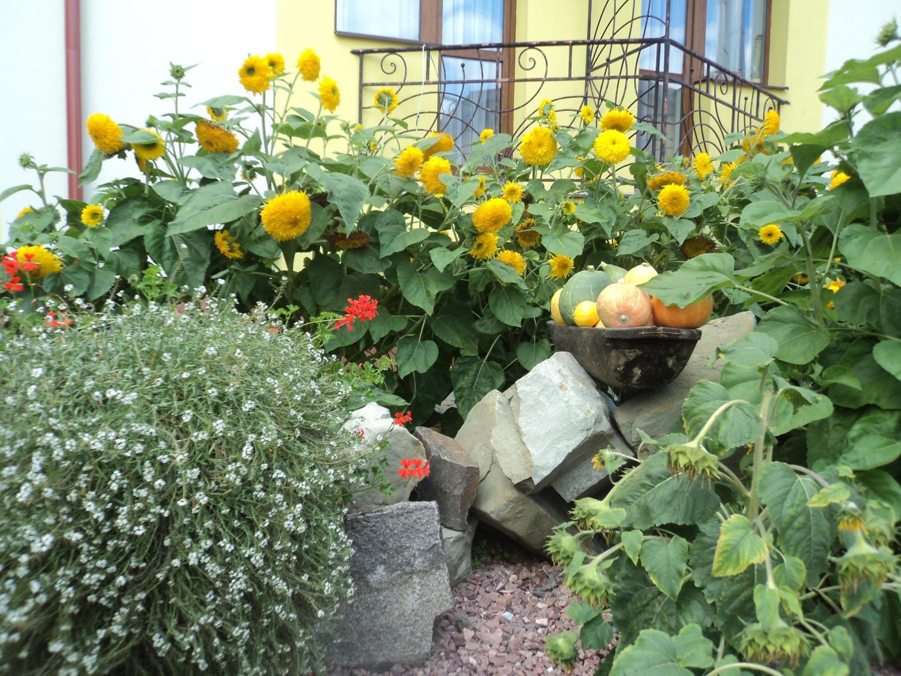 Photo 58