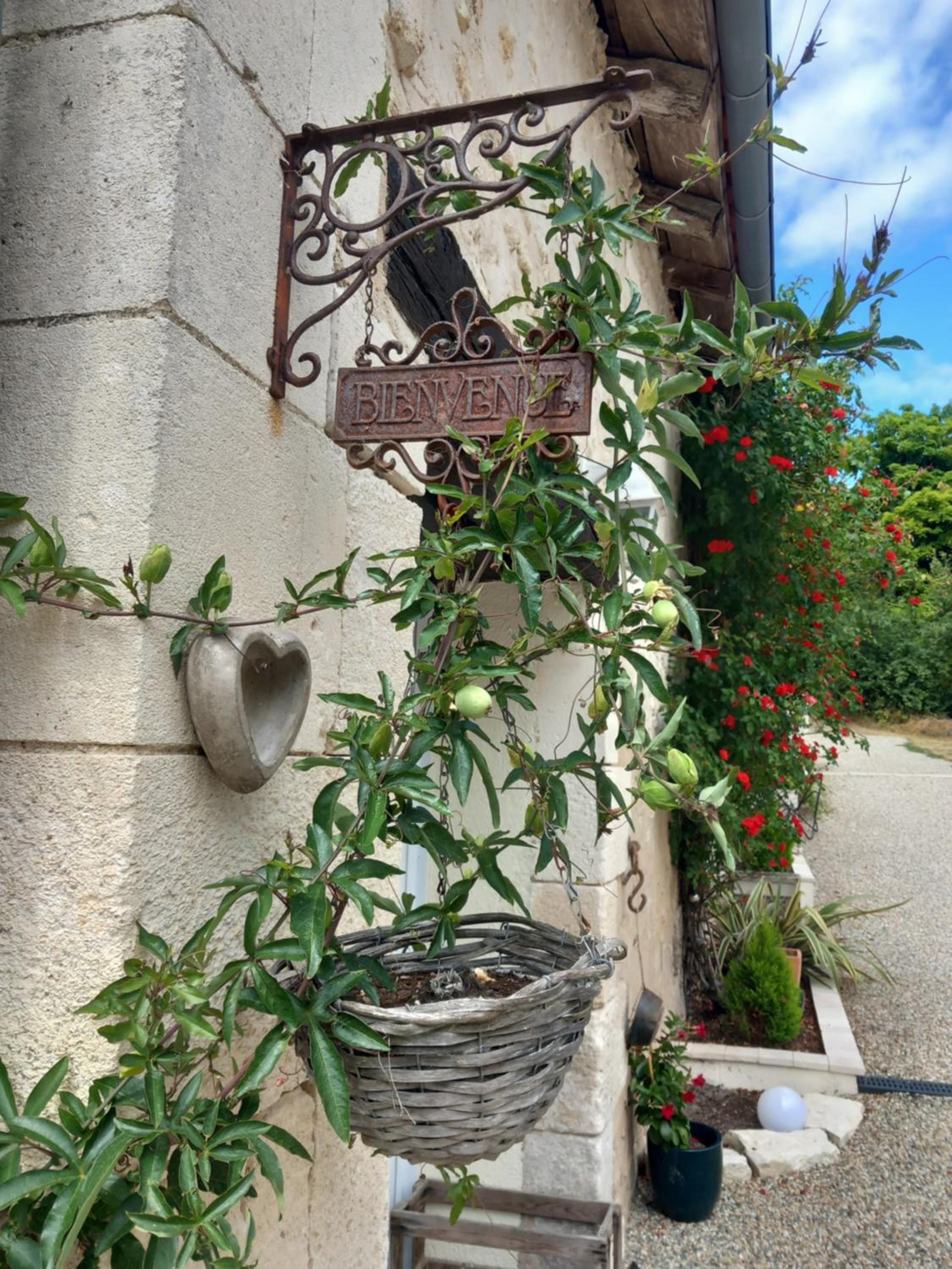 Photo 12