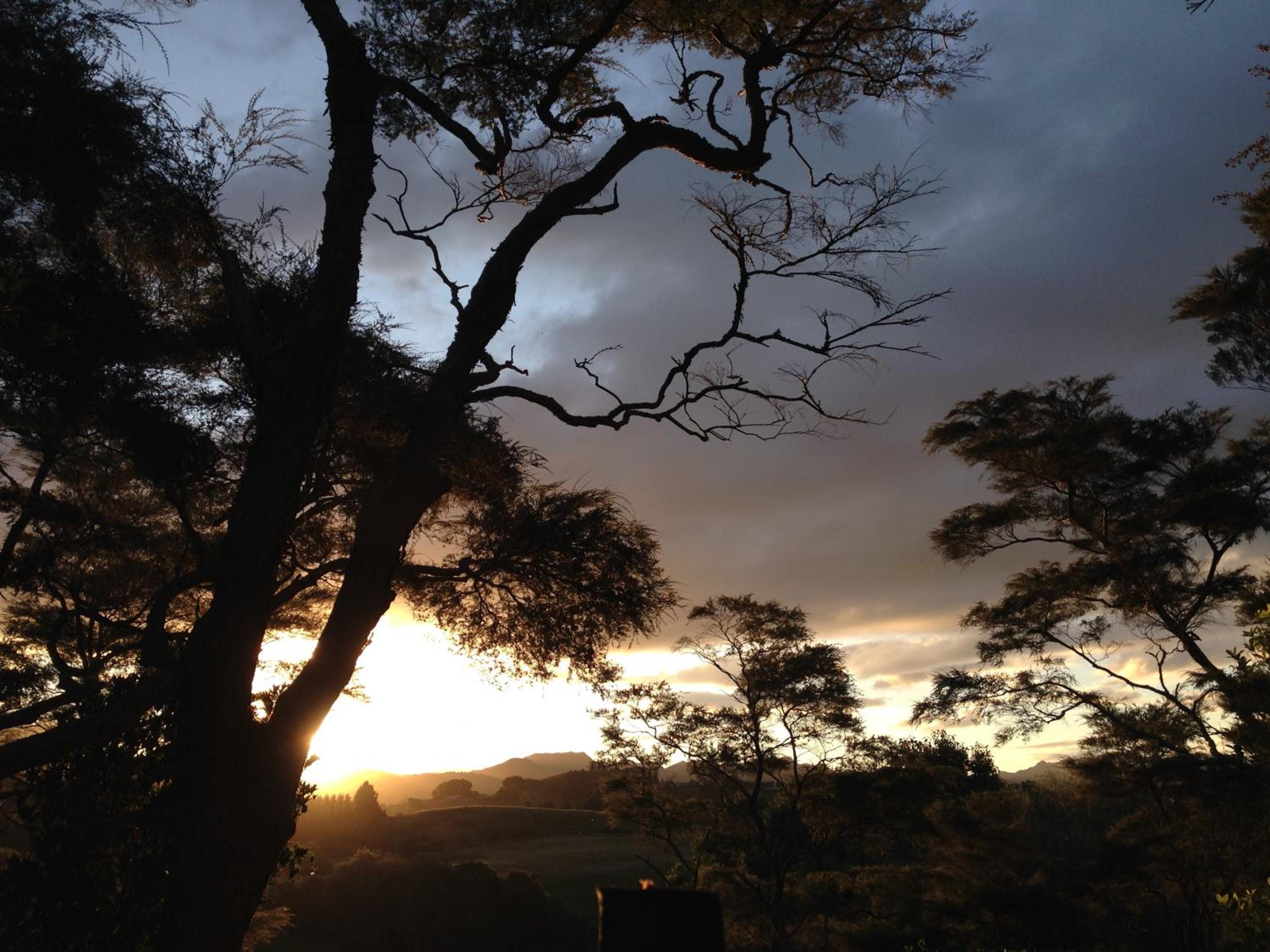 Tui Ridge Eco Cabins view 5
