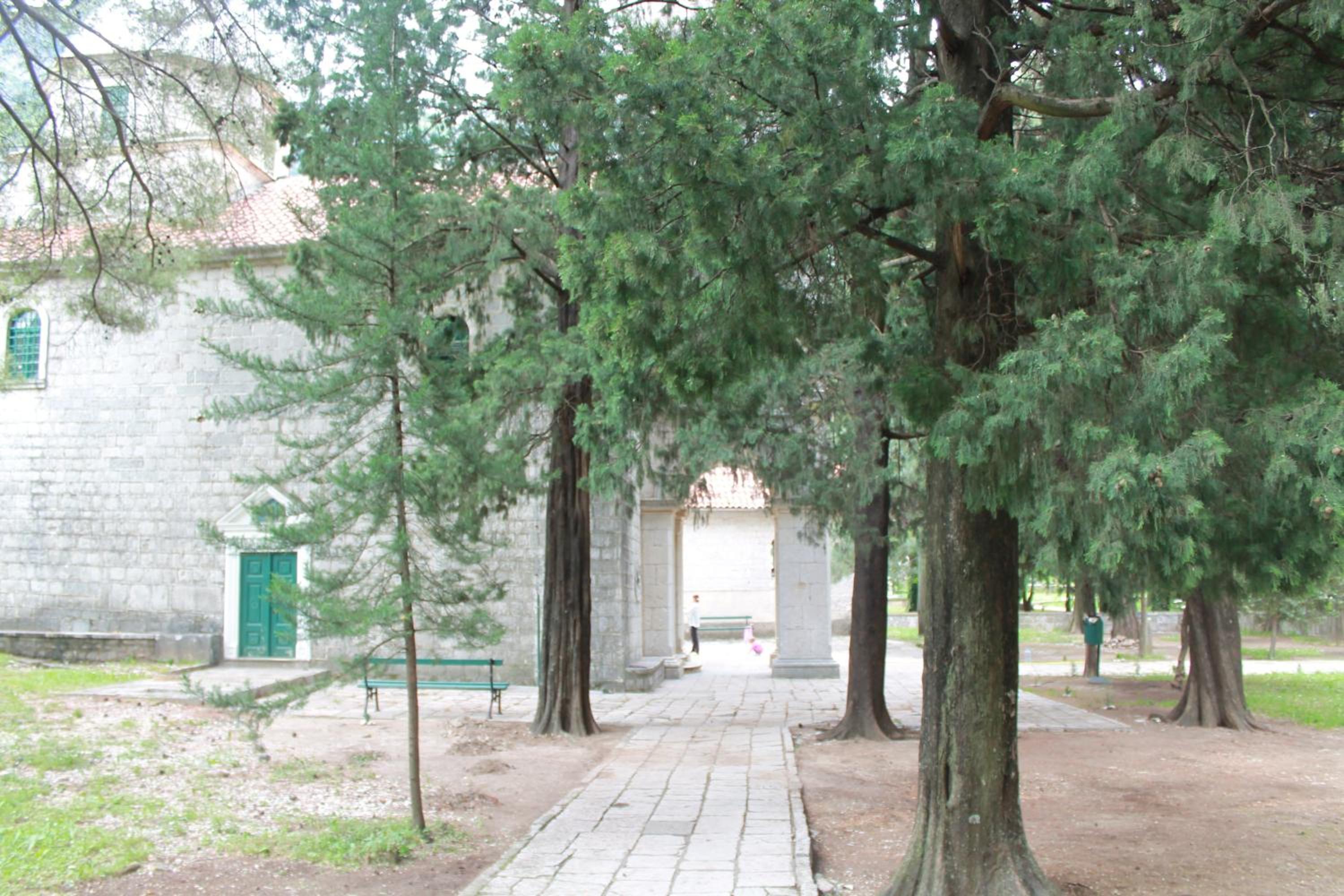 Photo 8