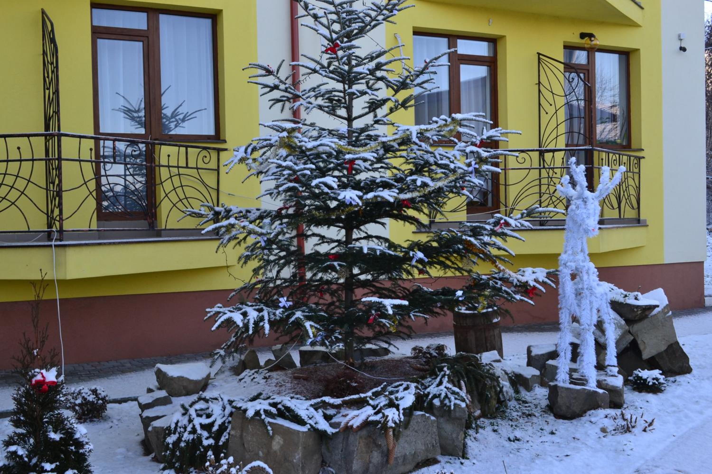 Photo 46