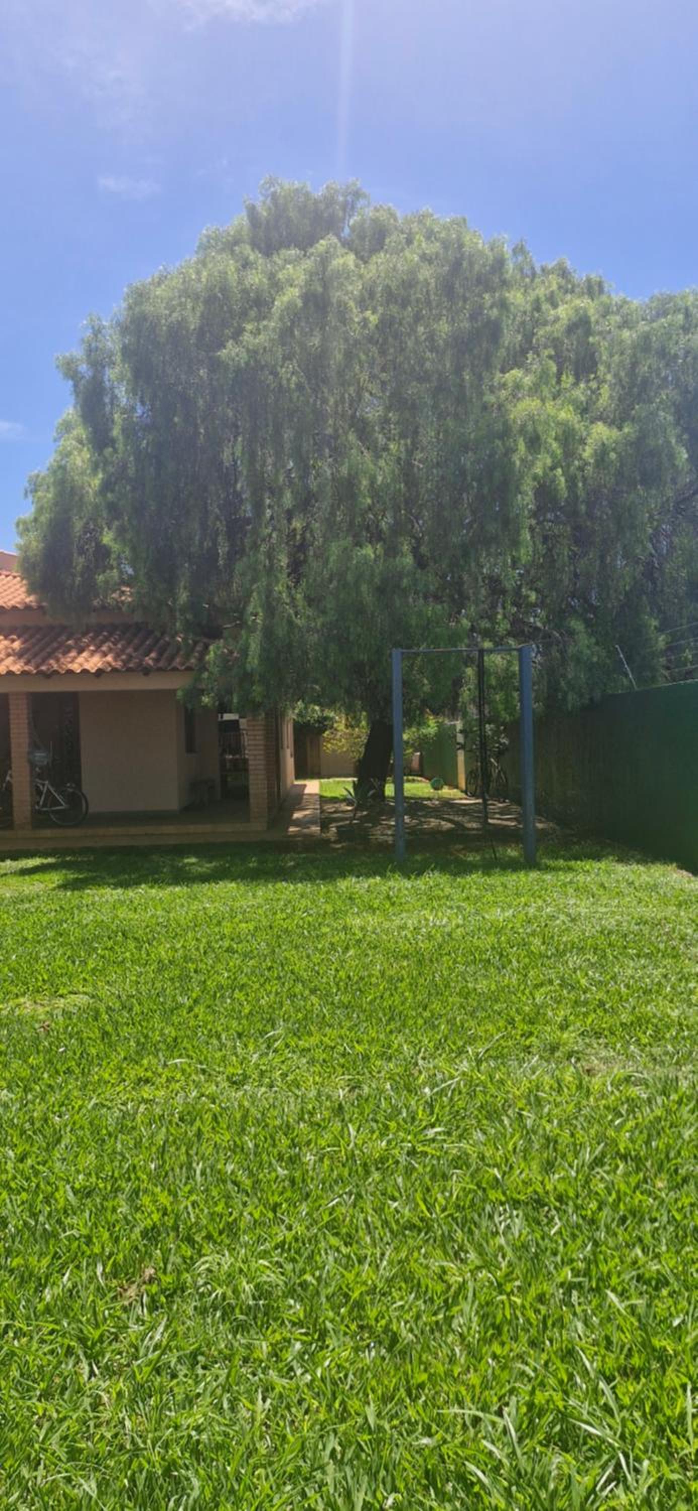 Canto da Árvore