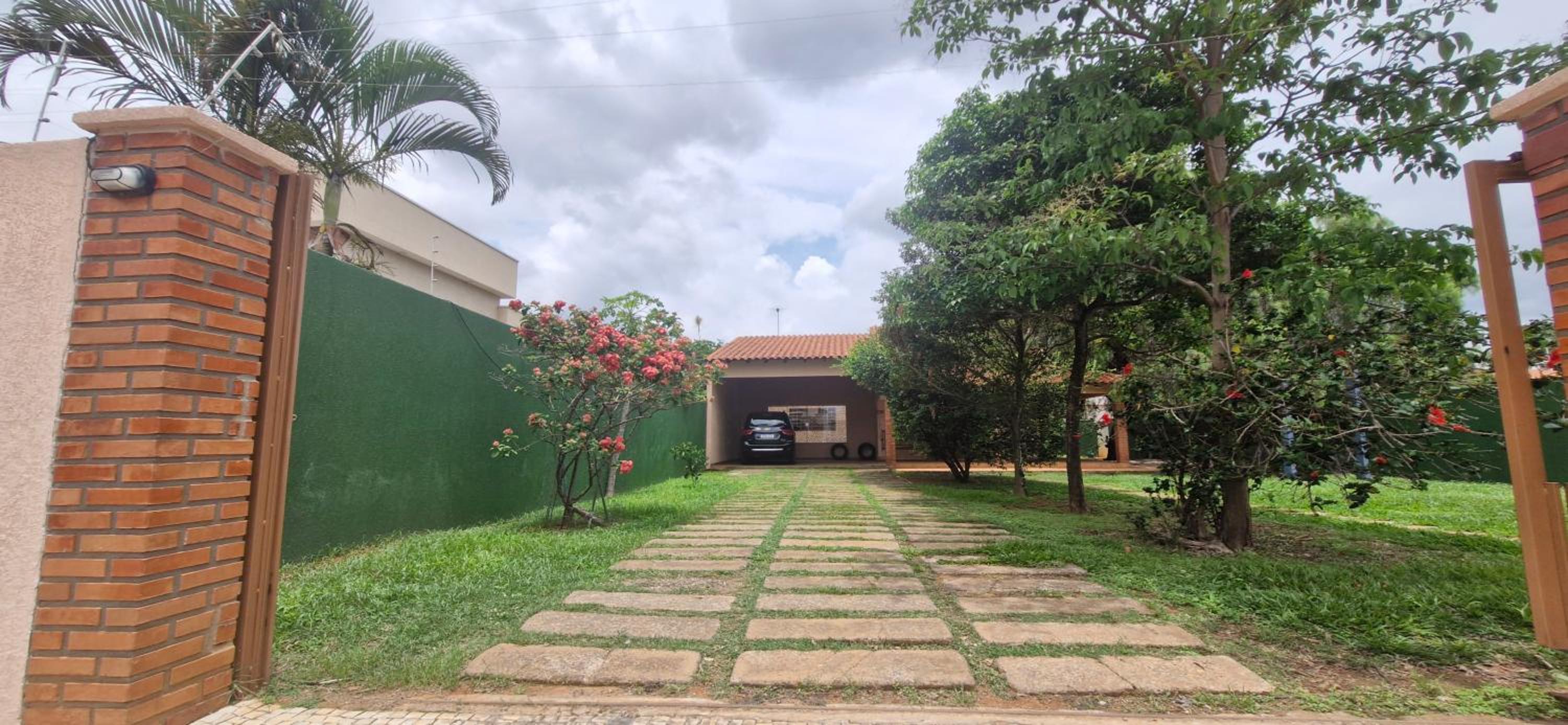 Canto da Árvore