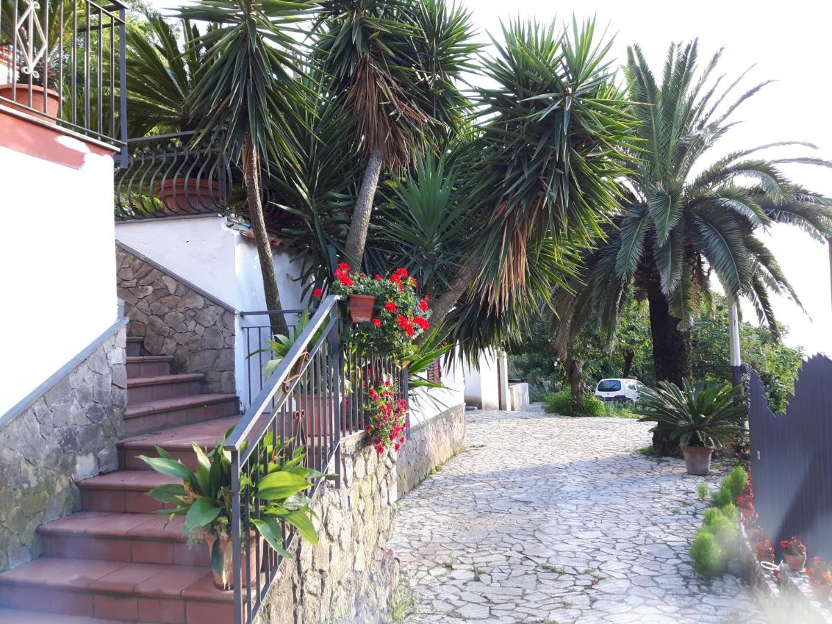 La Casa del Sole photo 3