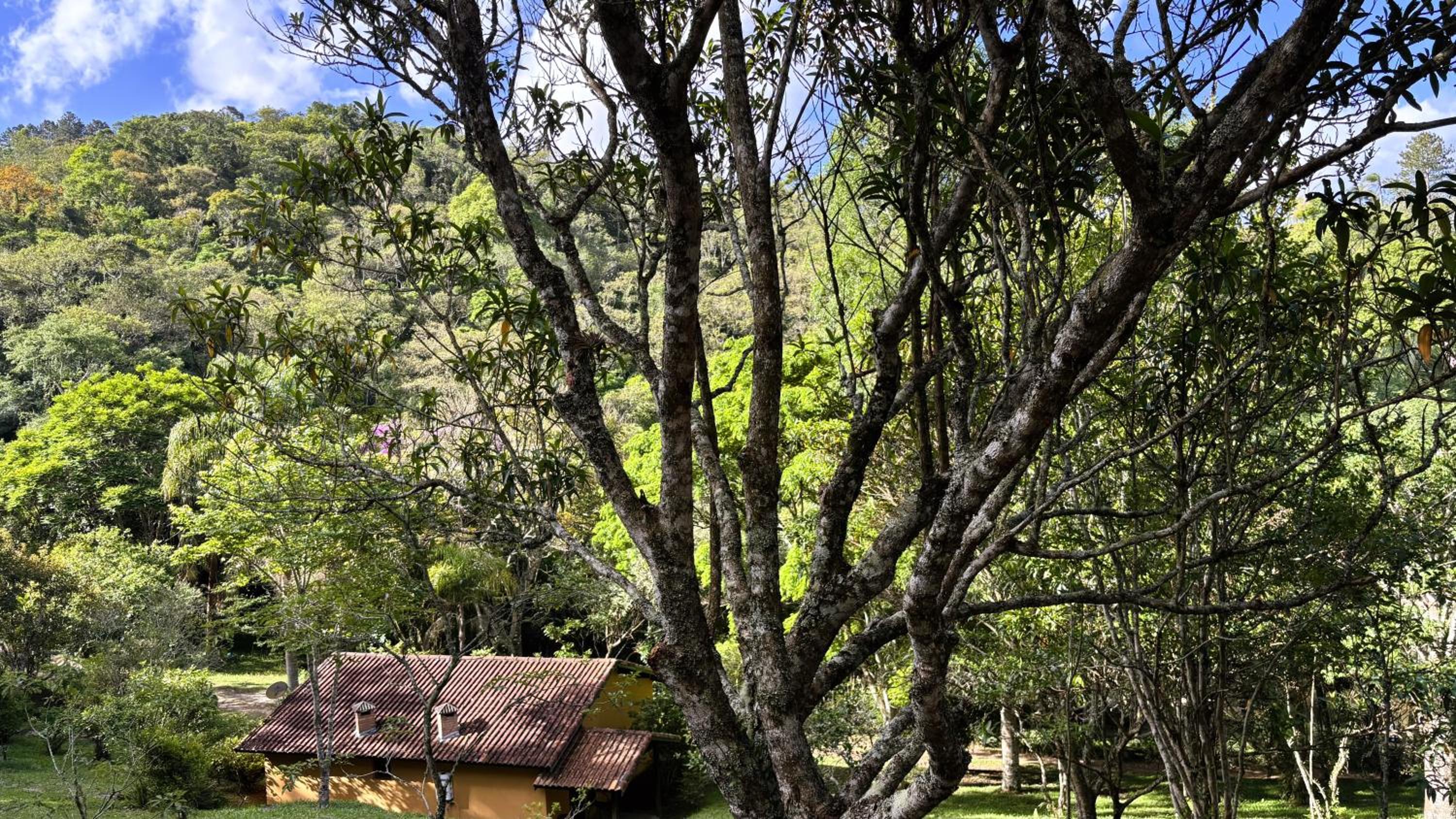 Pousada Roca