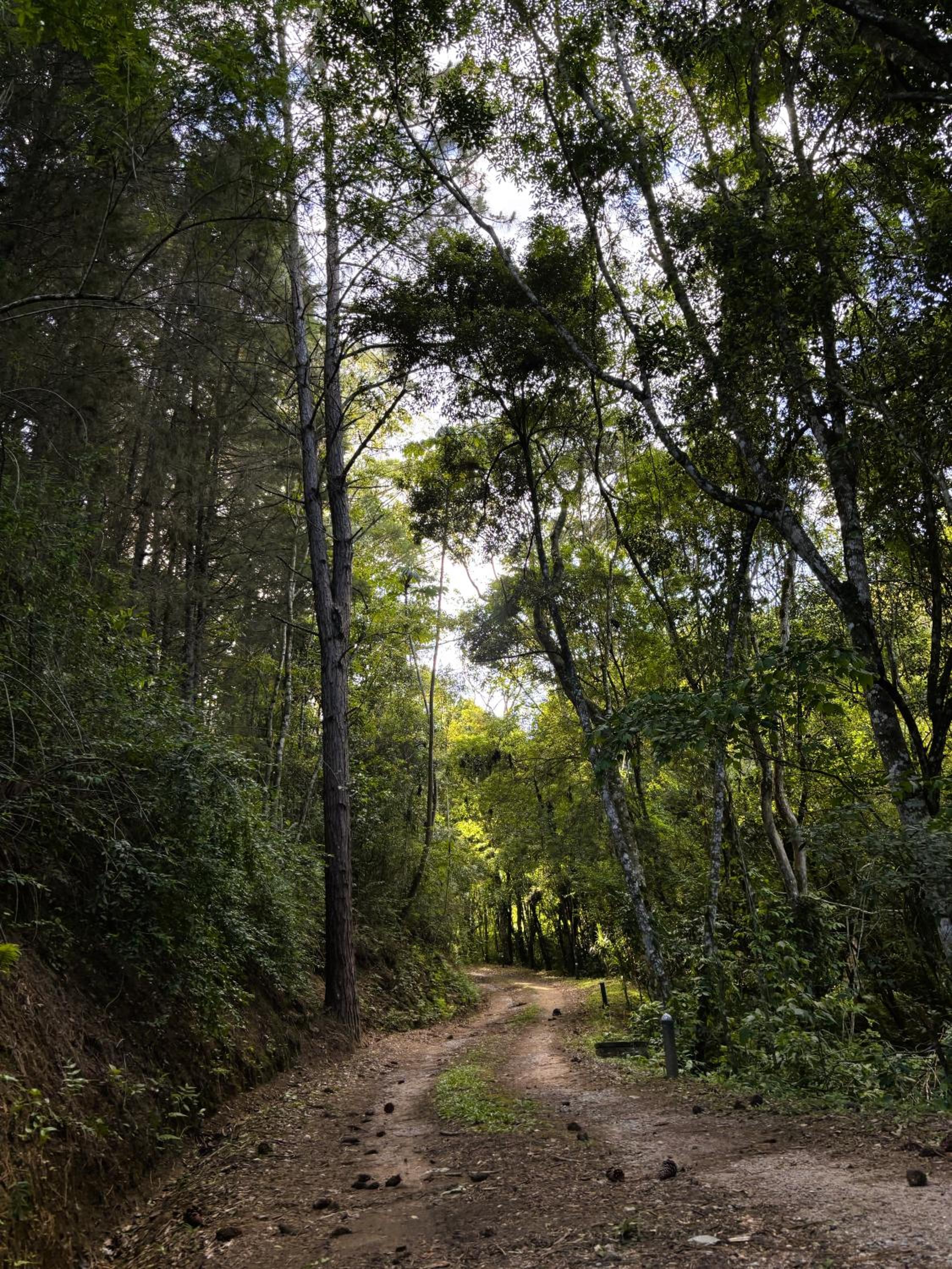 Pousada Roca