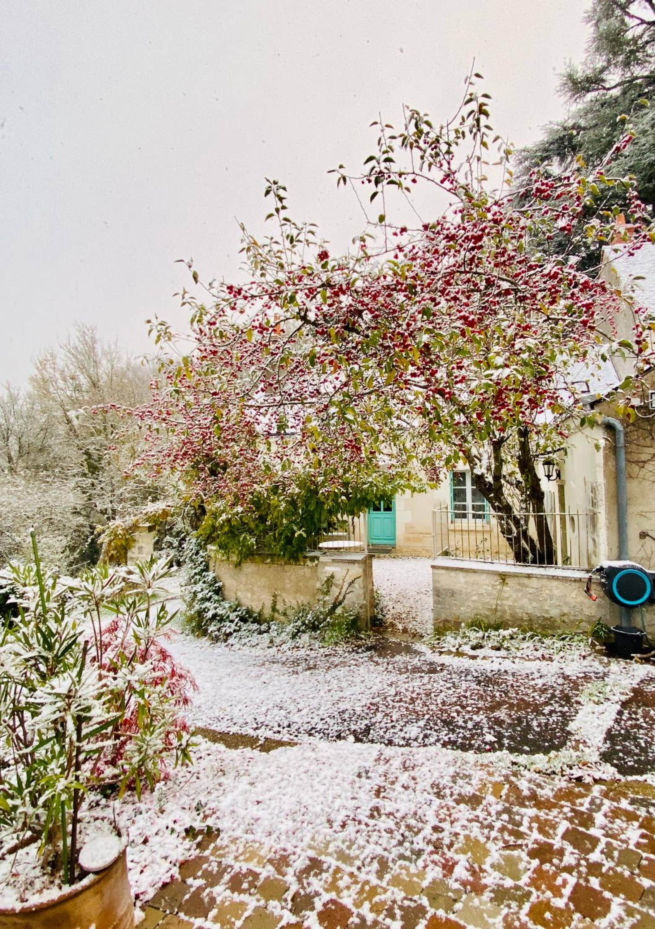 Clos des Mésanges