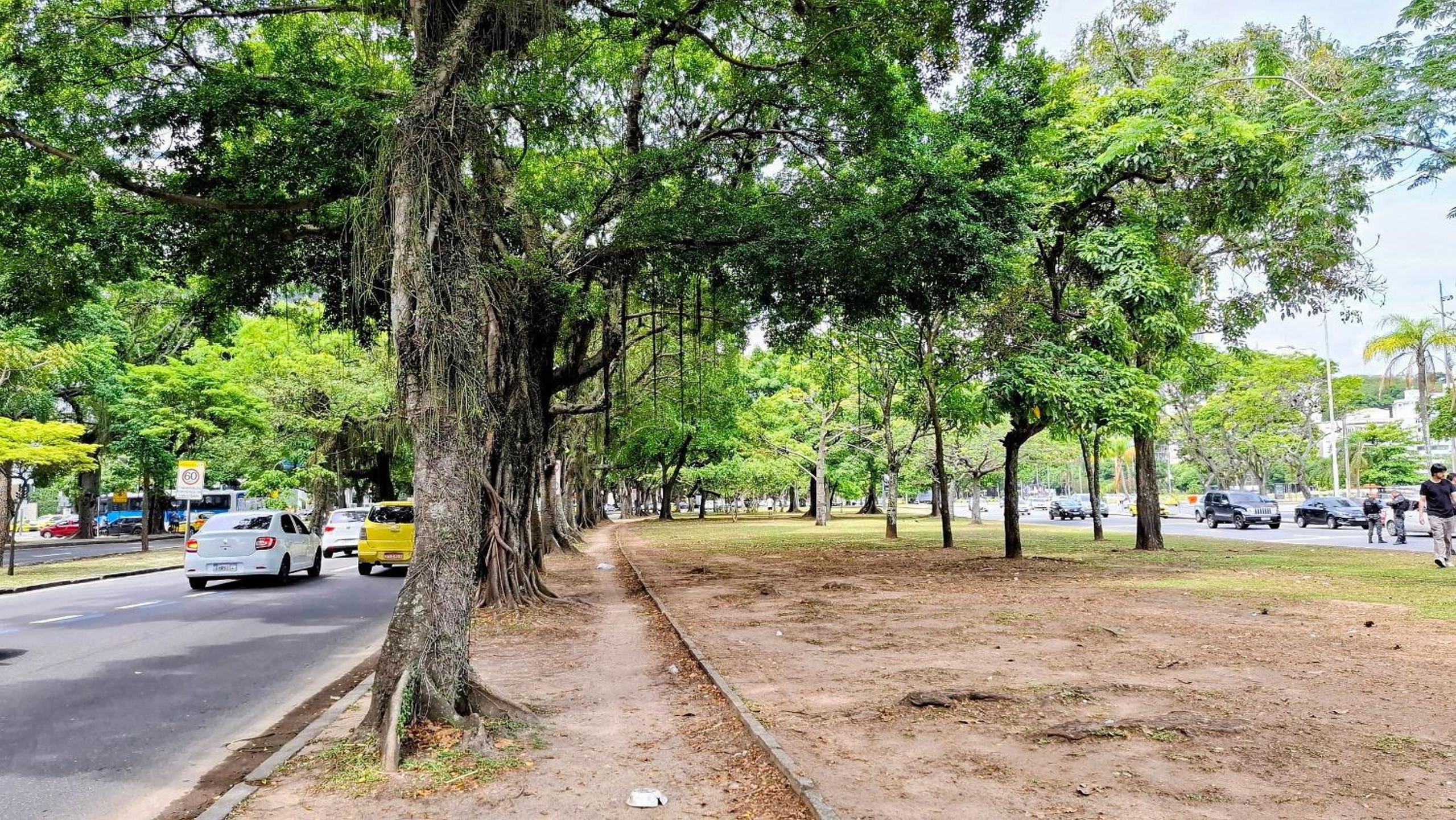 Botafogo: Sugarloaf and Comfort | 4 Guests