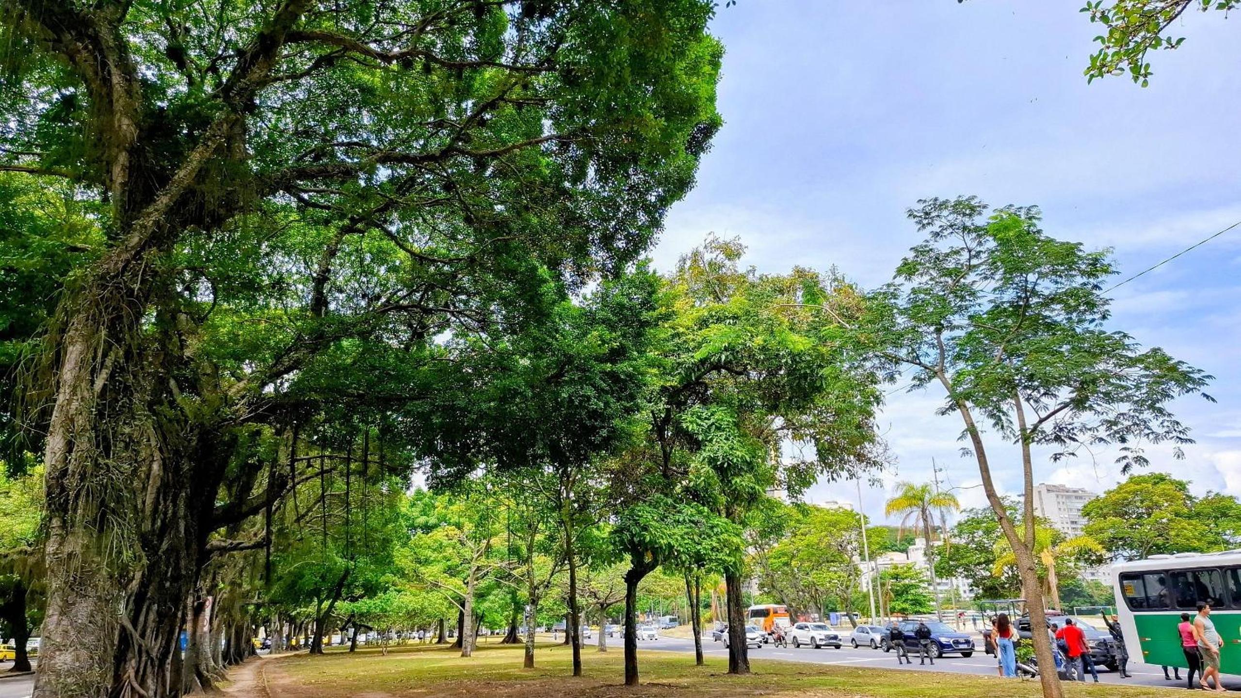Botafogo: Sugarloaf and Comfort | 4 Guests