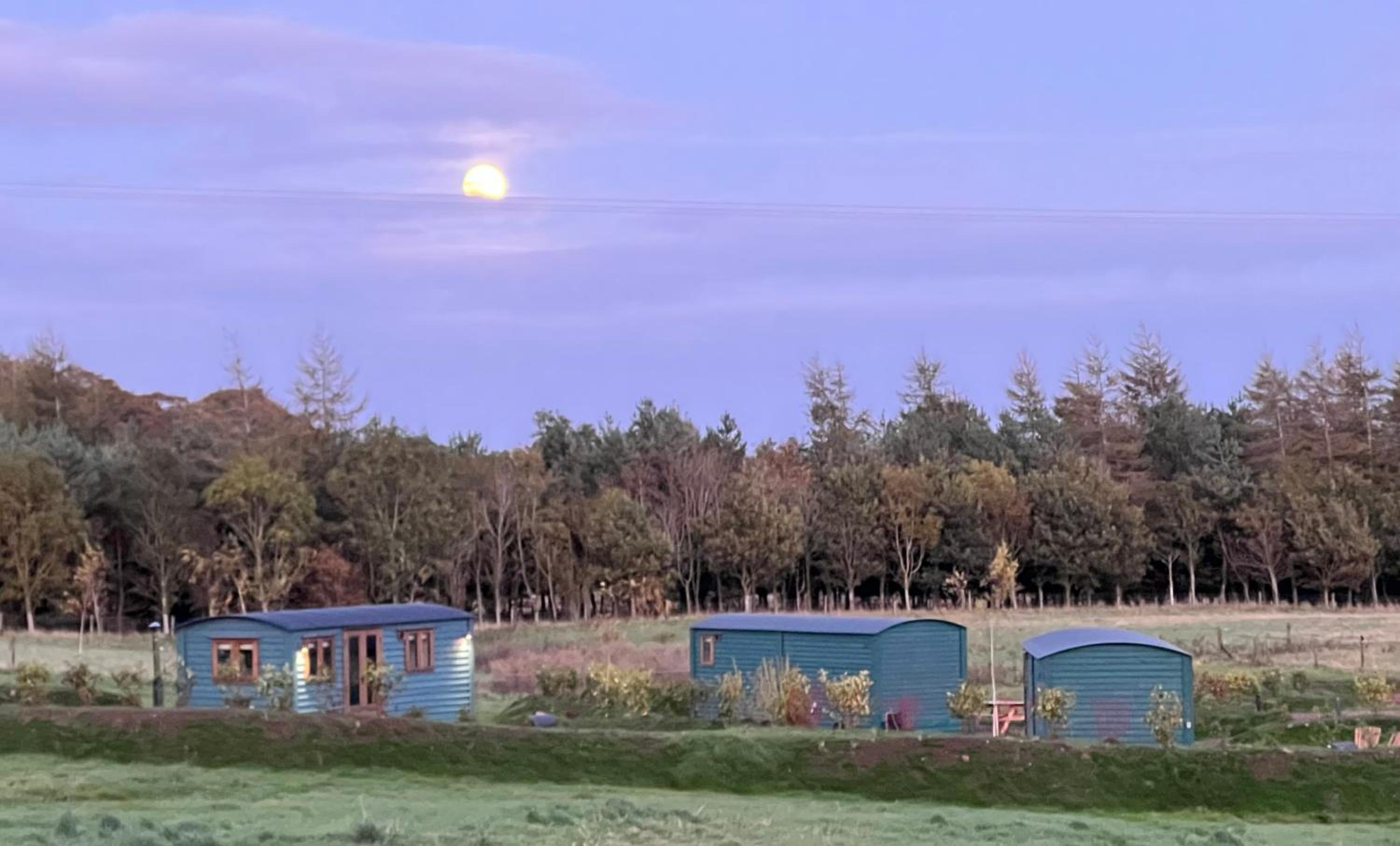 Pentland Shepherd Huts