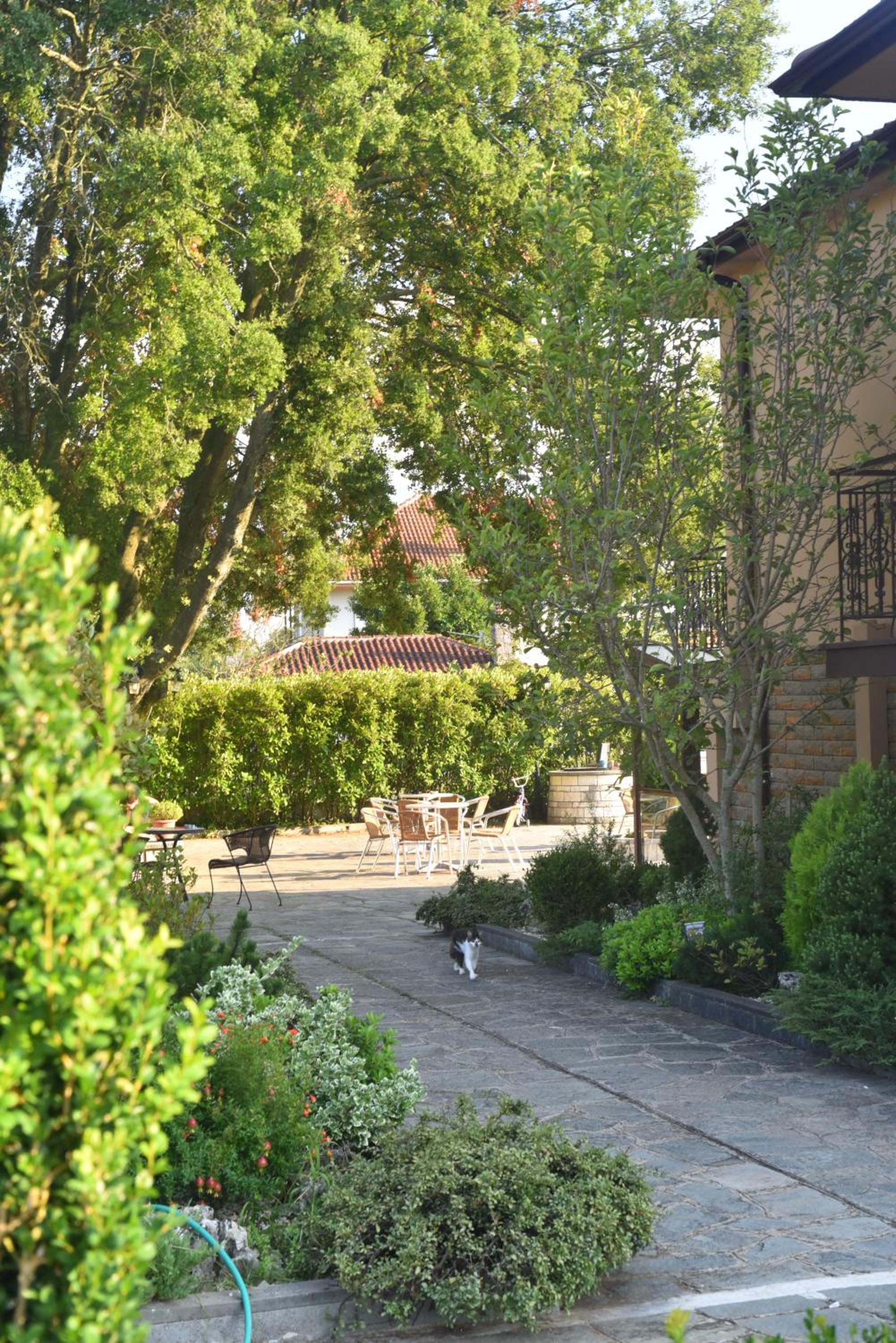 Photo 25