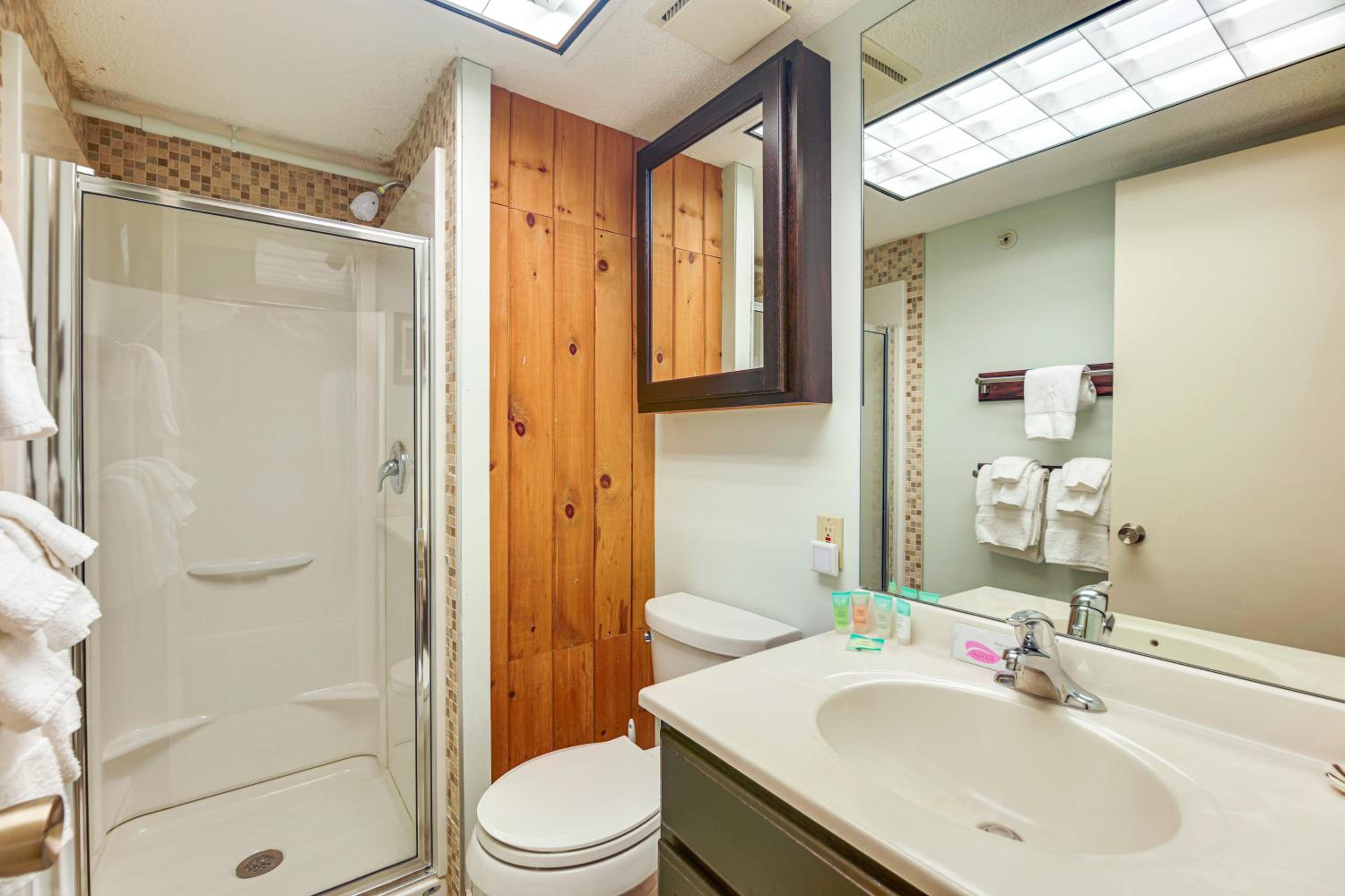 Walk to Ski Shuttle! Mountainside Resort Condo