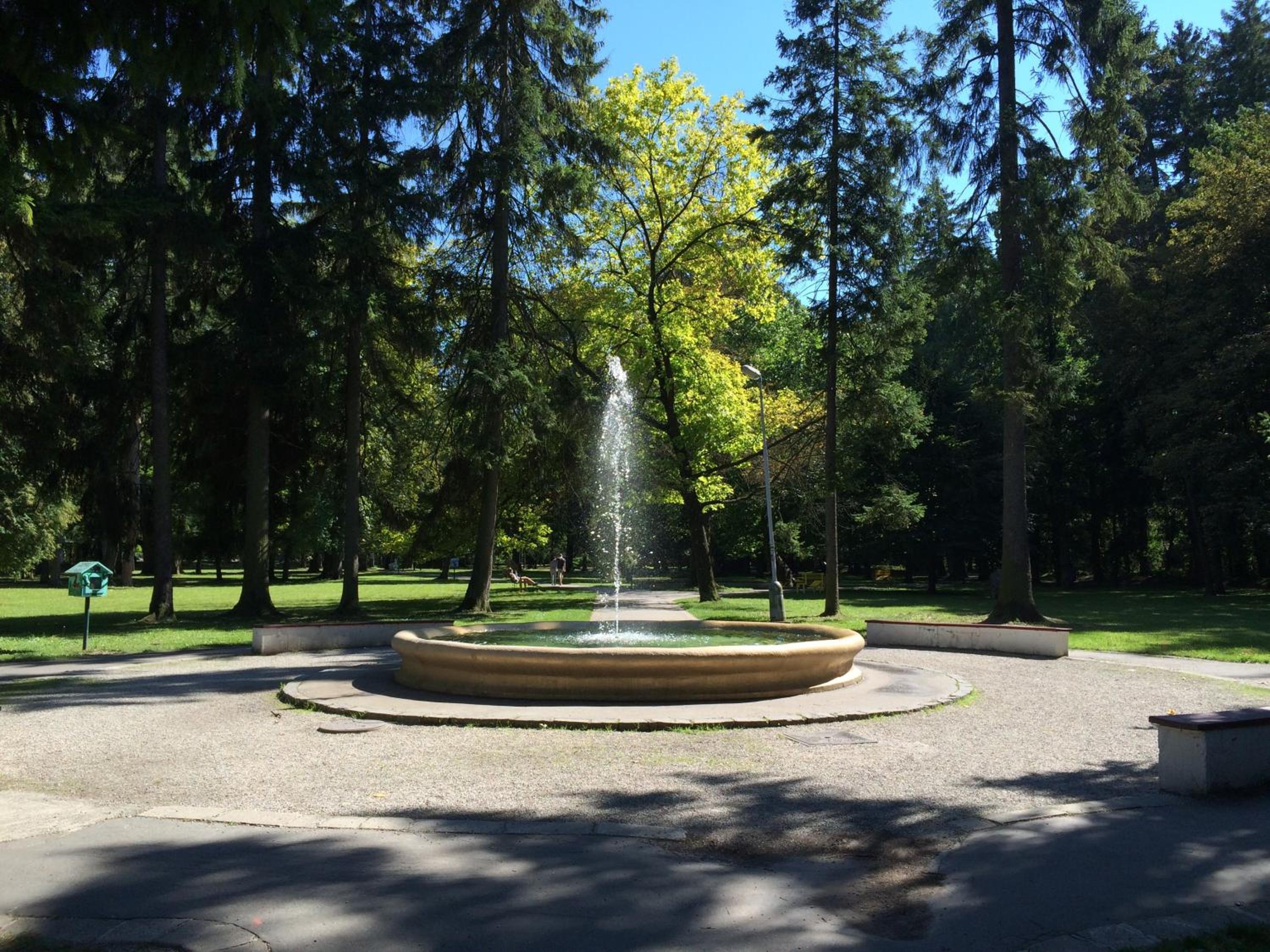 Photo 25
