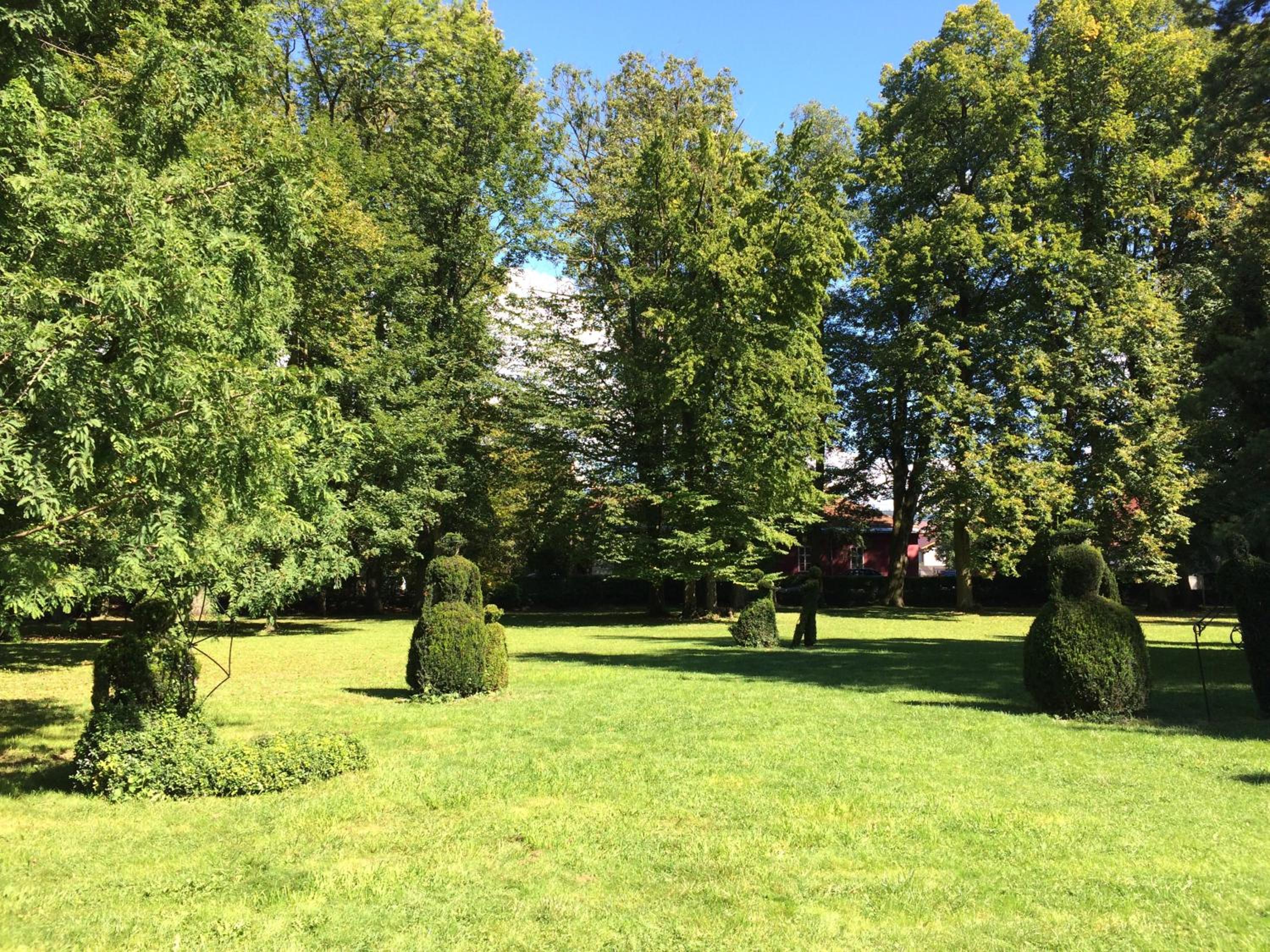 Photo 26