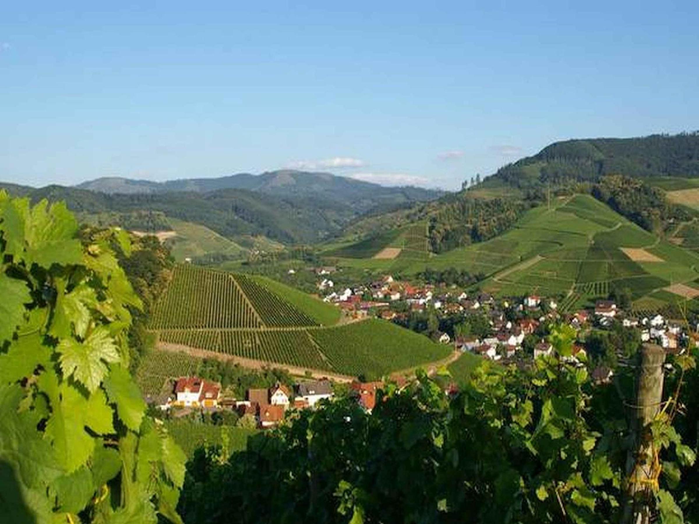 Gasthaus Hohberg view 3