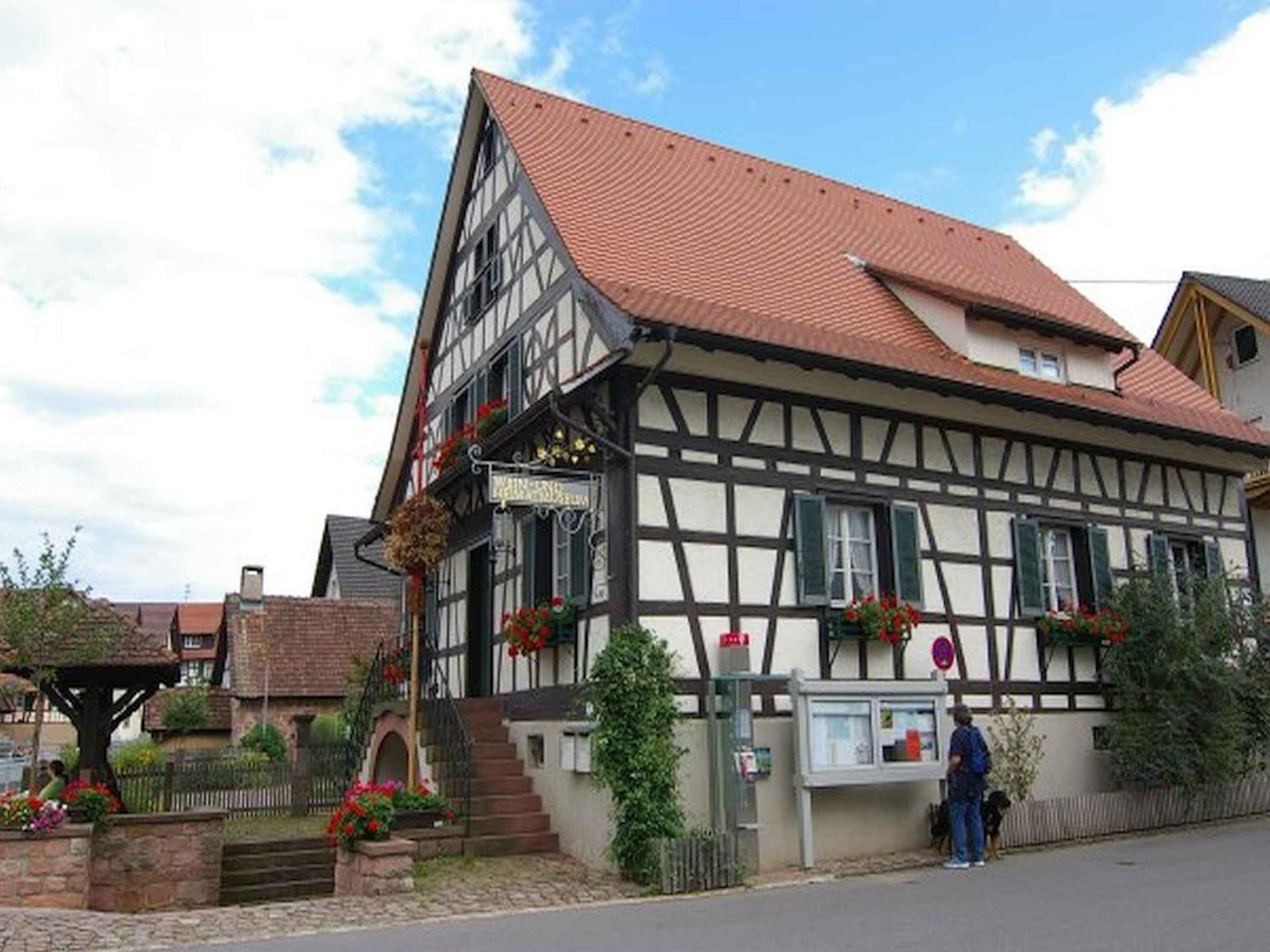 Photo 12