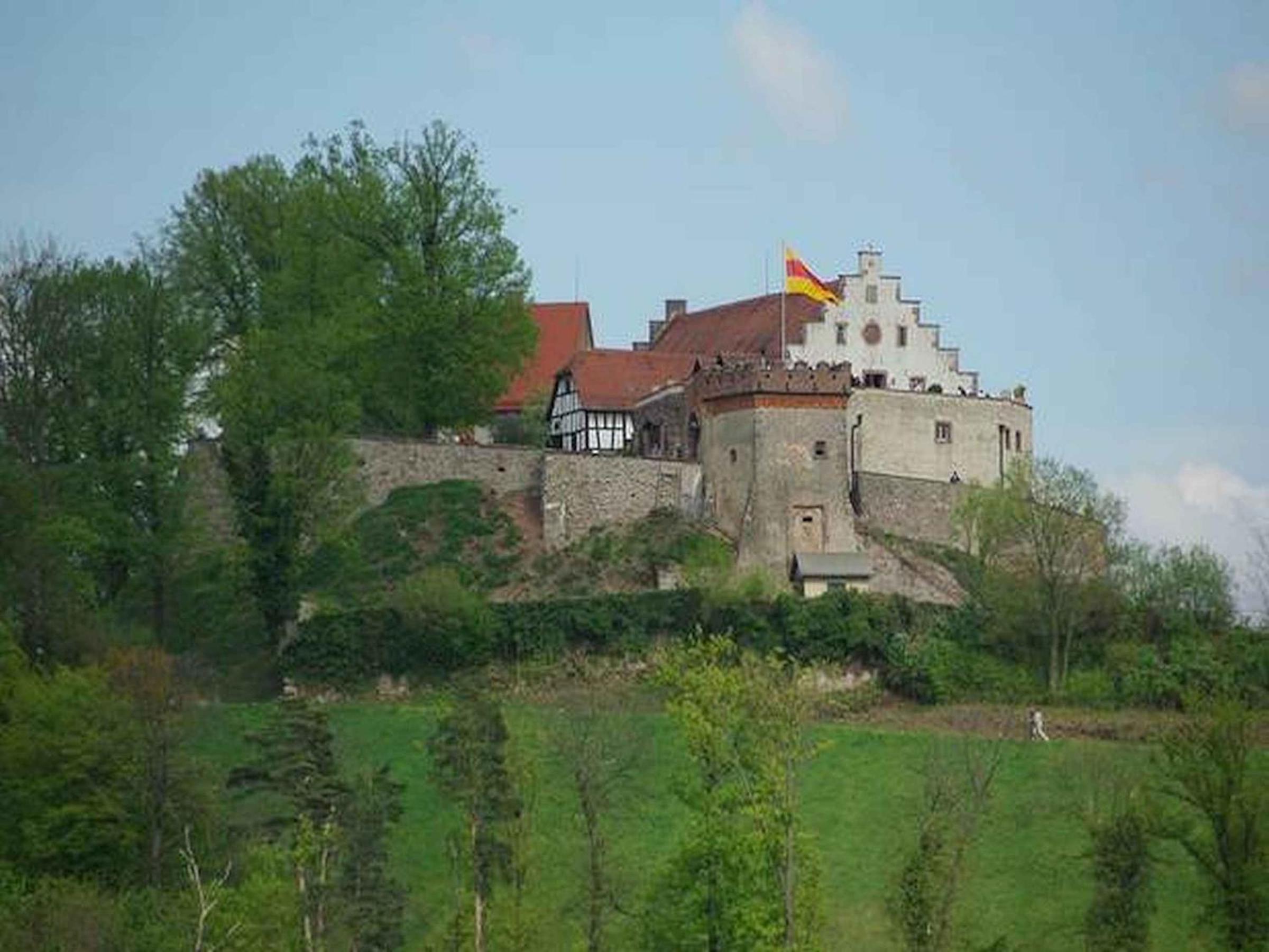 Photo 15
