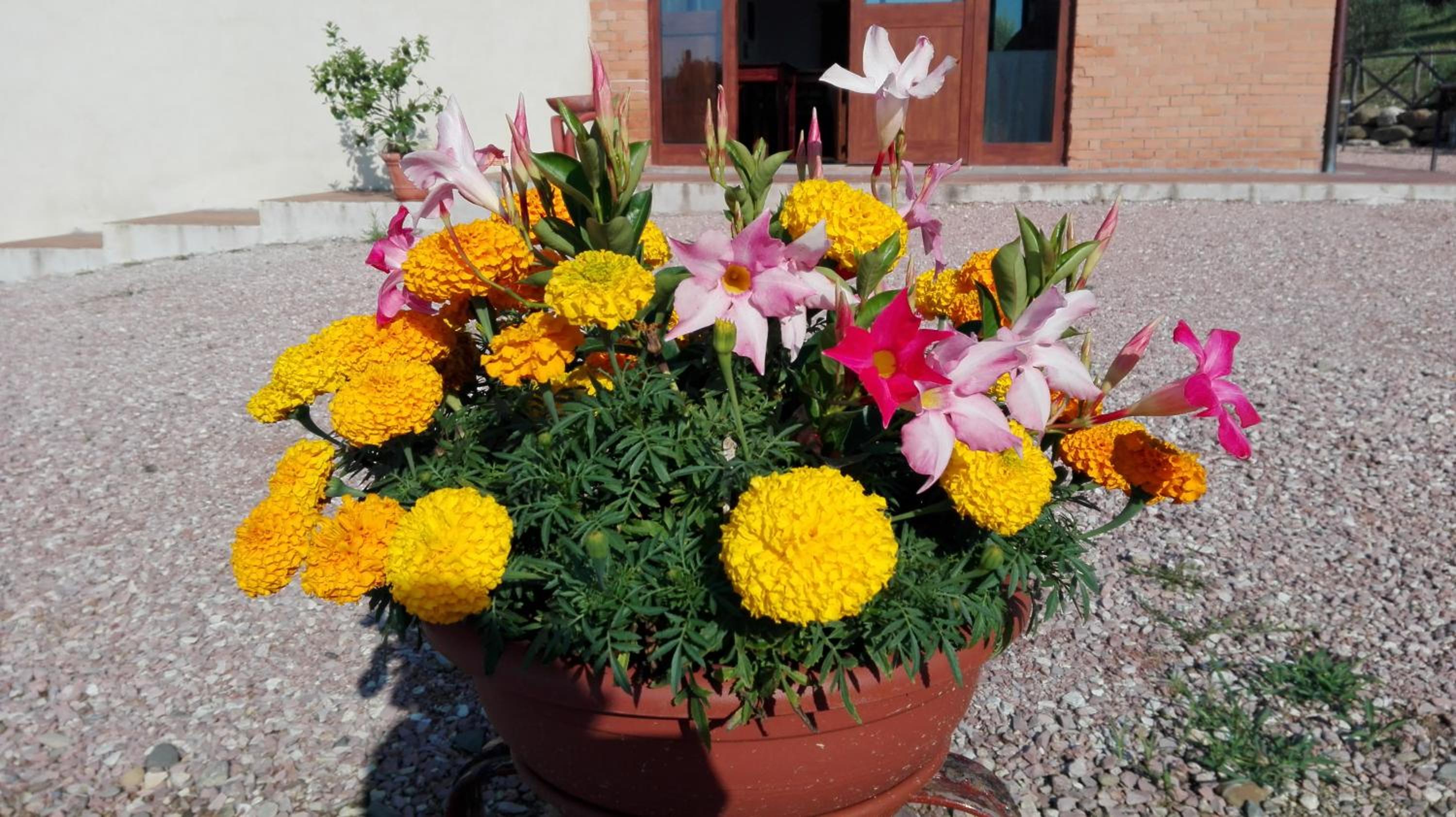Agriturismo San Silvestro