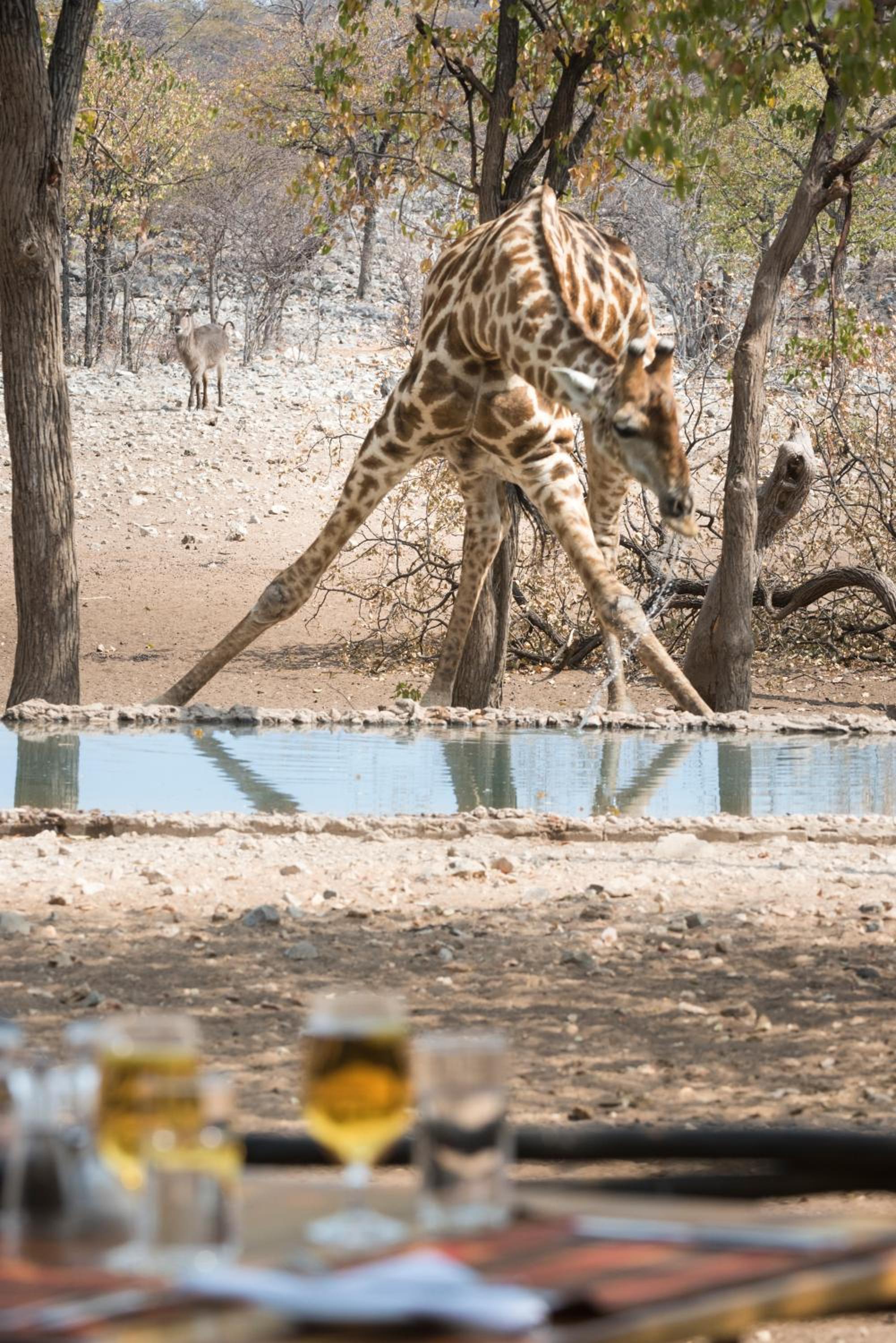 Photo 35