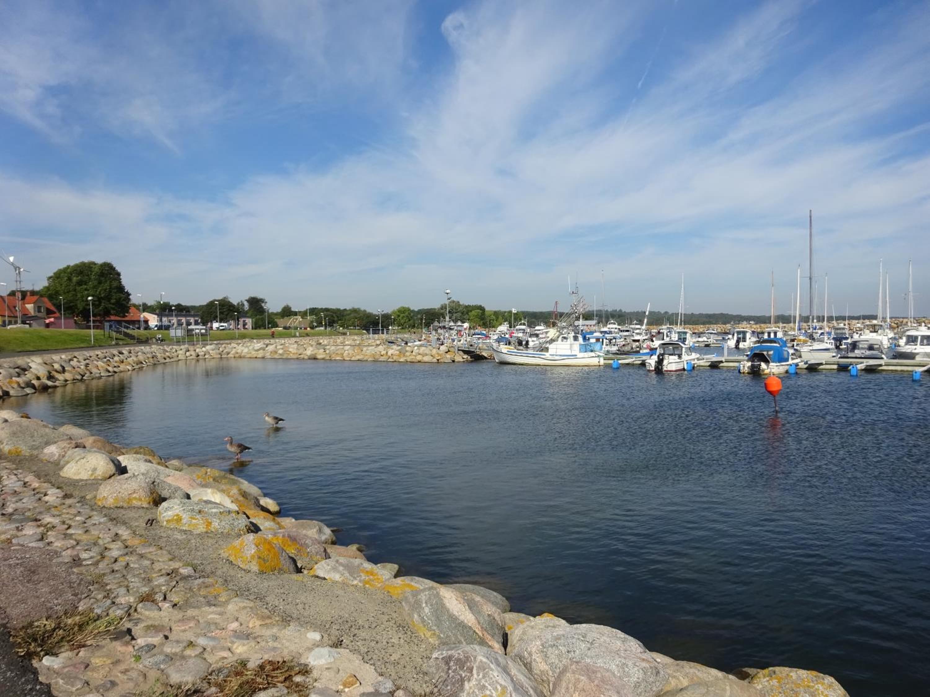 Solrosen i Simrishamn - Österlen