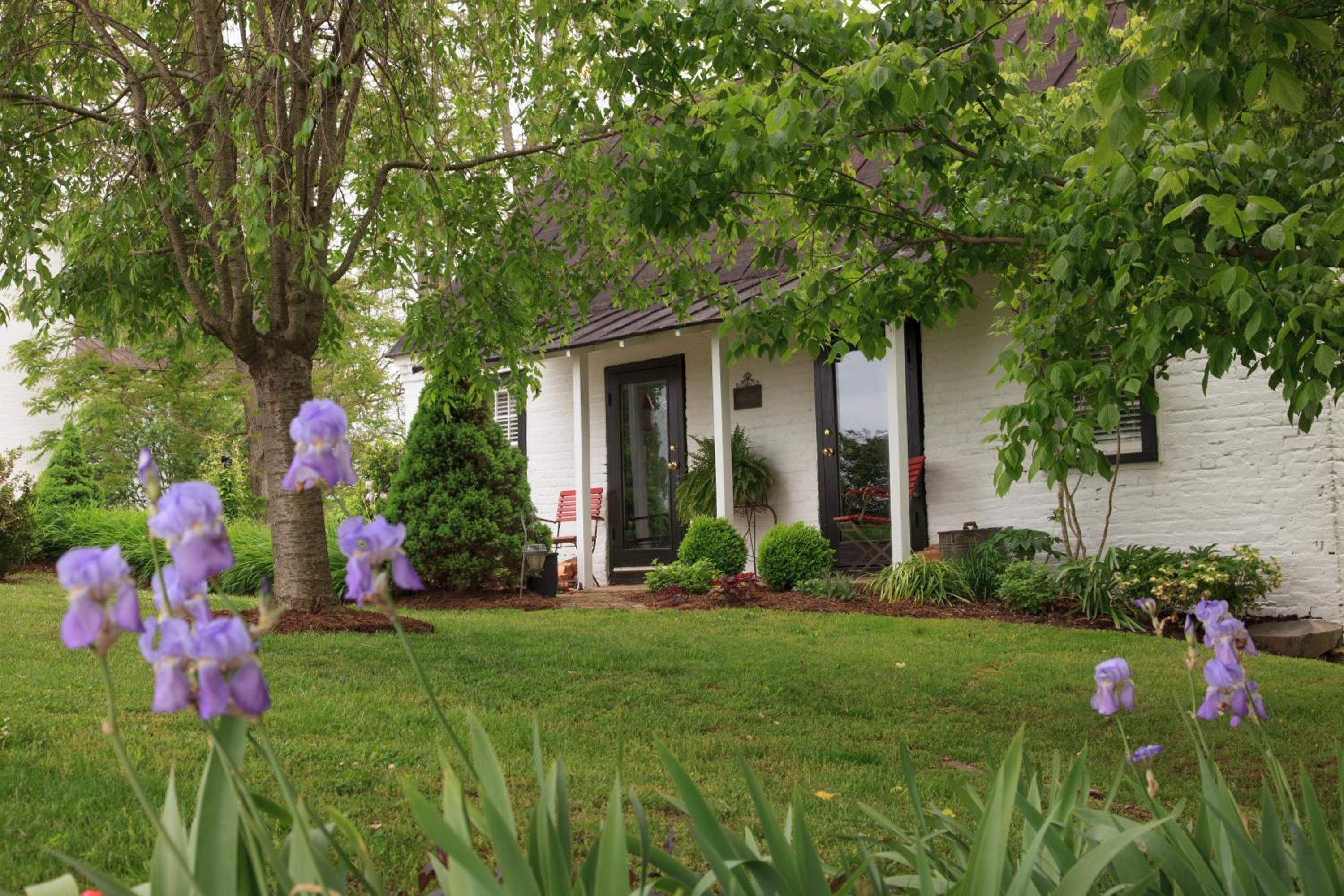 The Estate at Meander