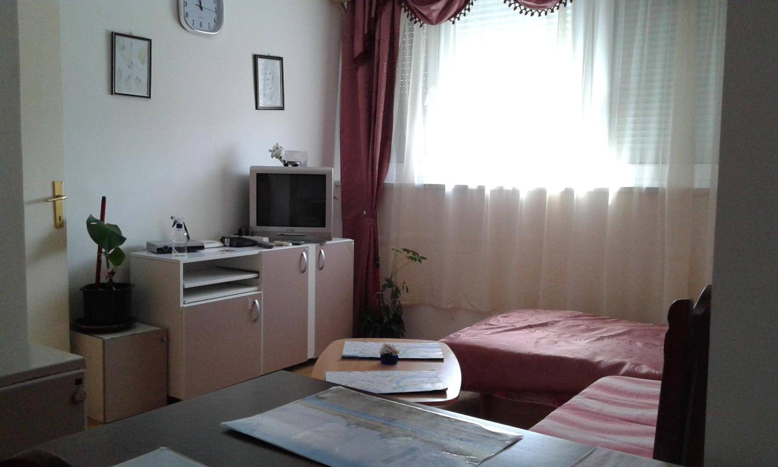 Apartment Daca Stan na dan view 5