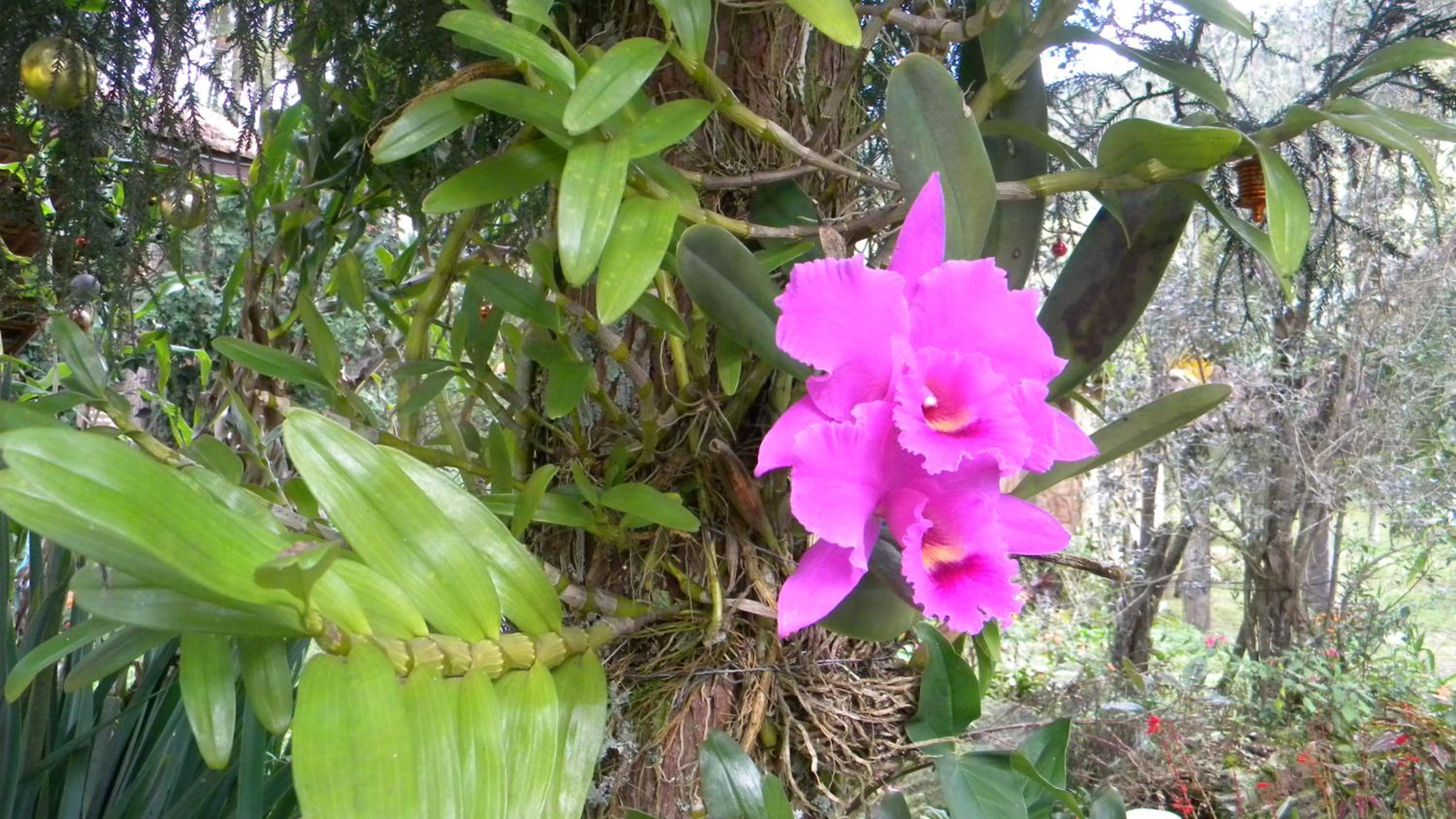 Photo 28
