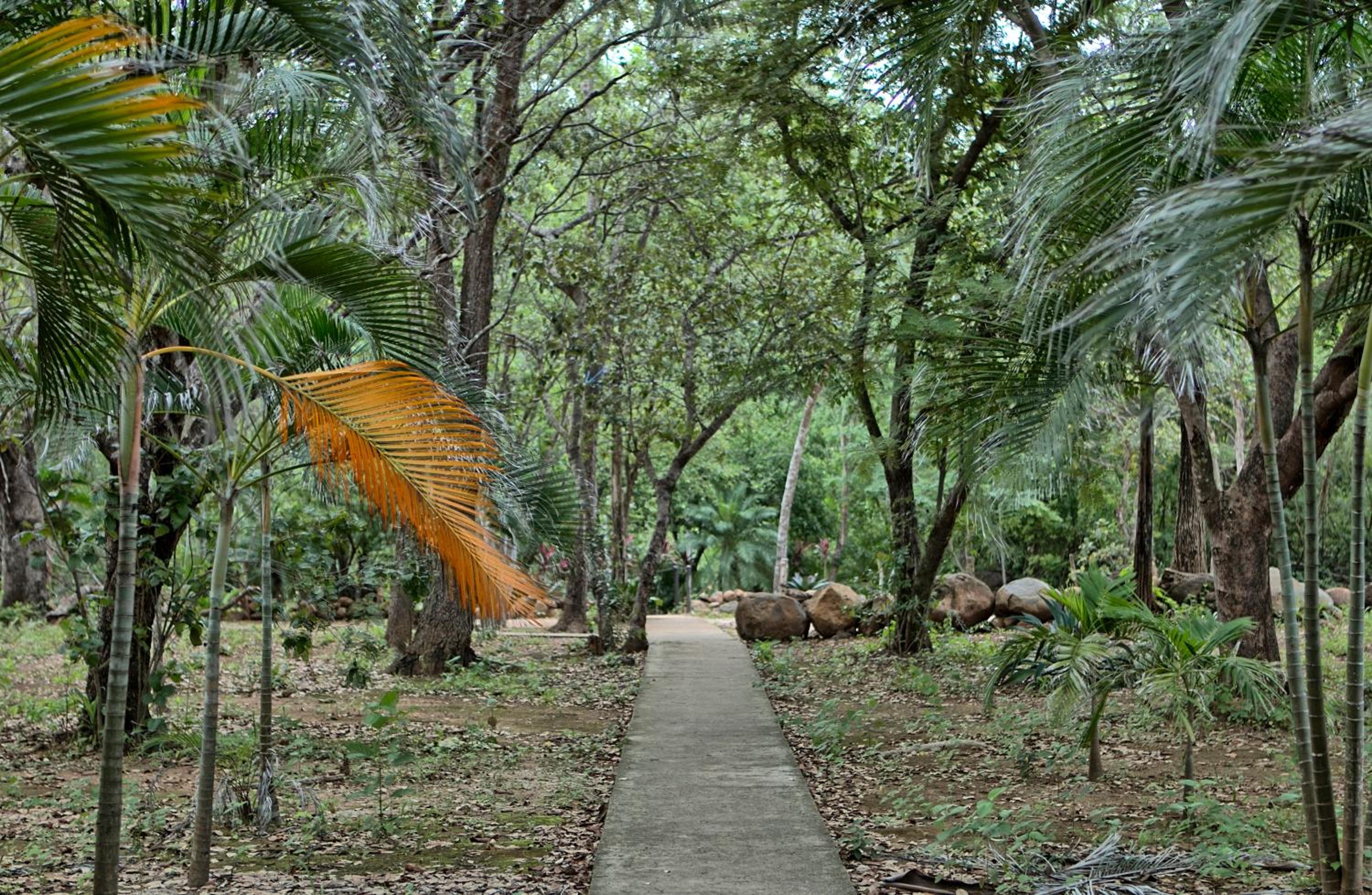 Cañon de la Vieja Lodge