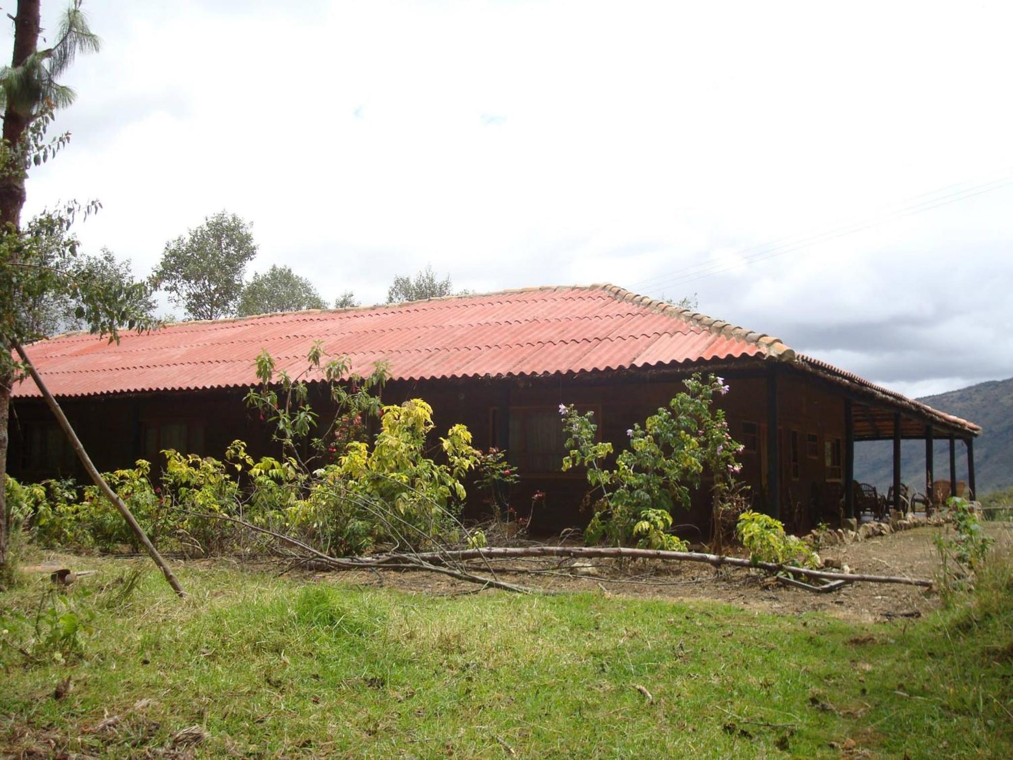Photo 43