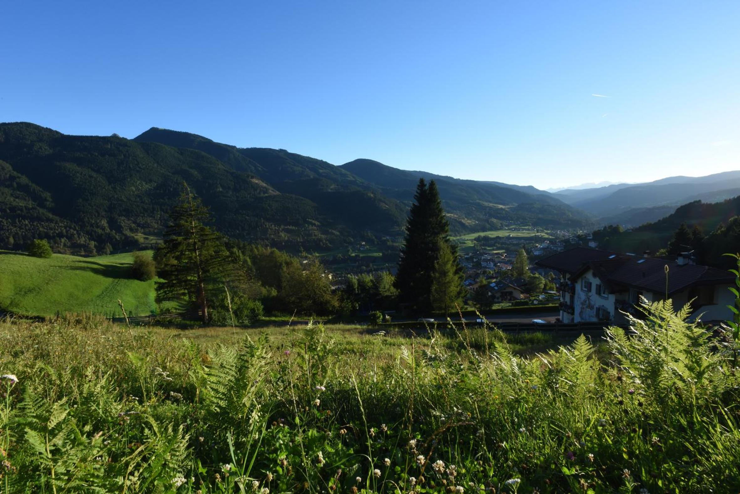 Agritur Darial, fotografía 4