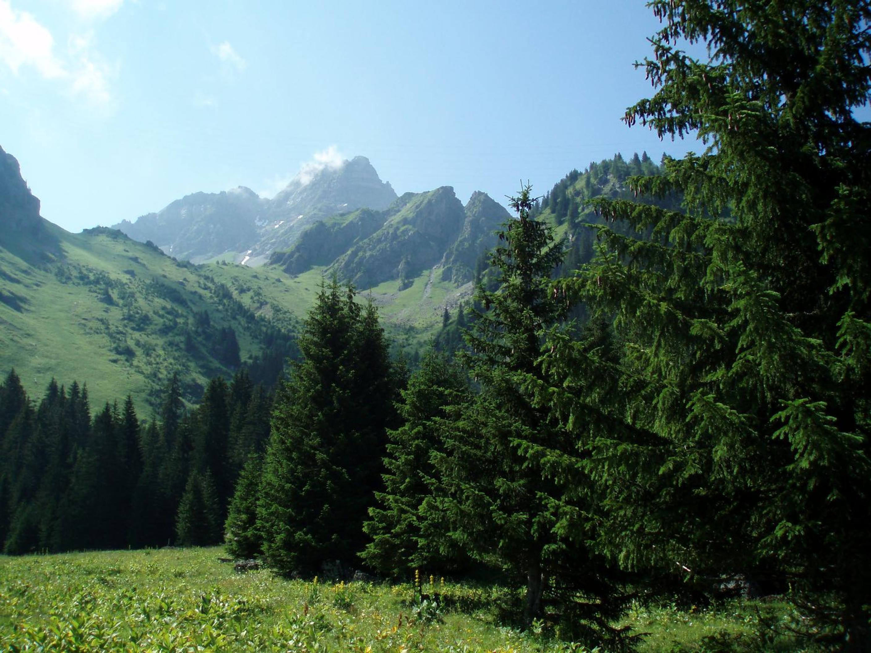 Photo 18