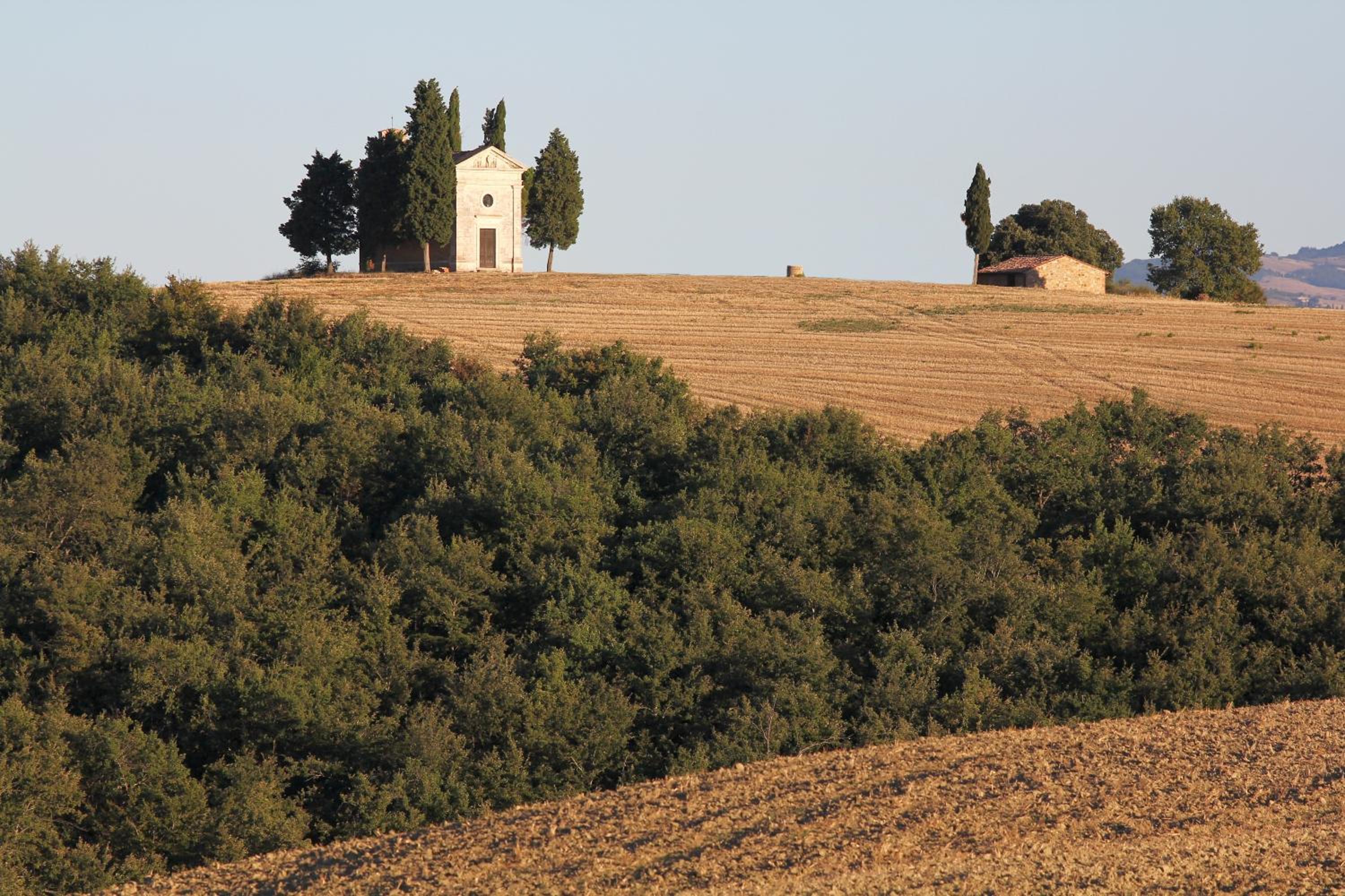 Photo 23