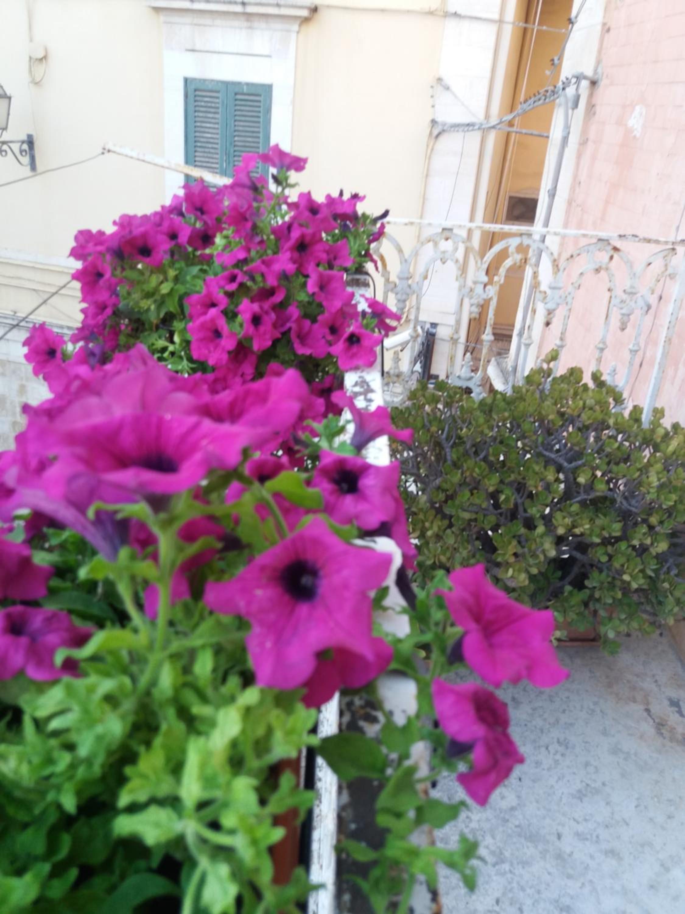 Photo 38