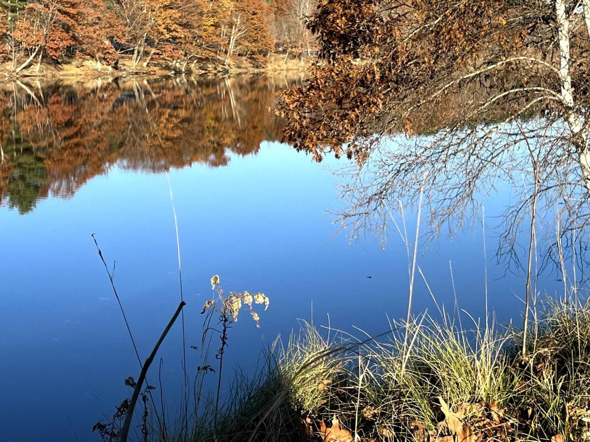 Mountain Retreat with River Views Near Sunday River and Year-Round Adventure