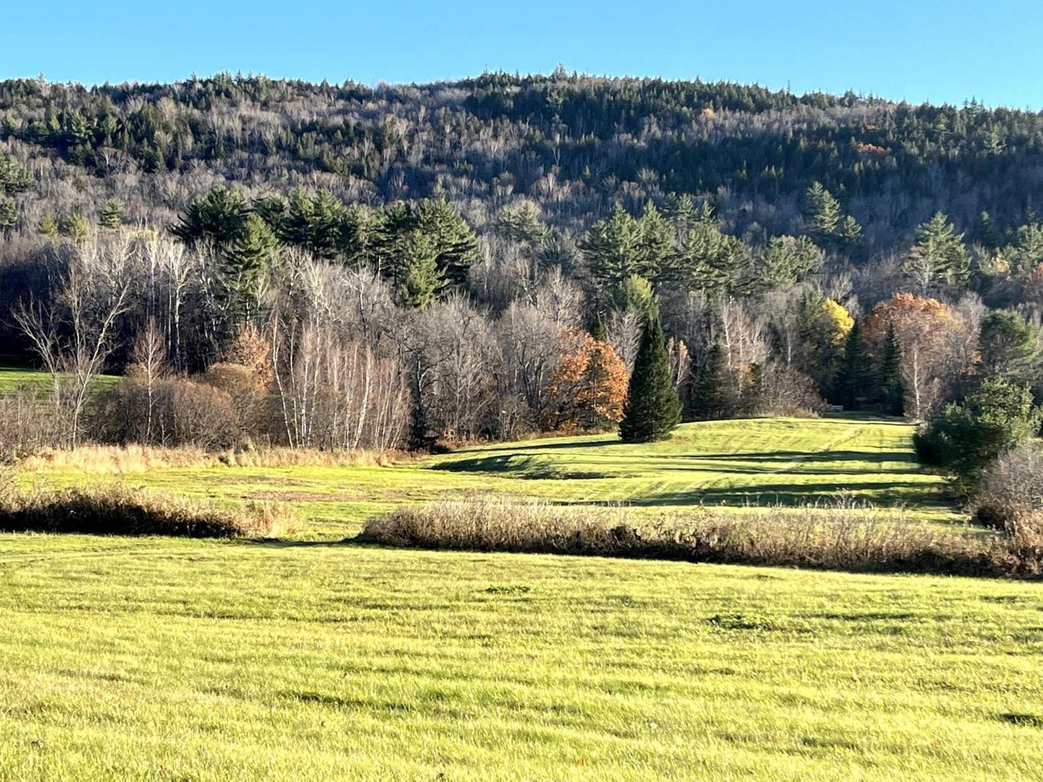 Mountain Retreat with River Views Near Sunday River and Year-Round Adventure