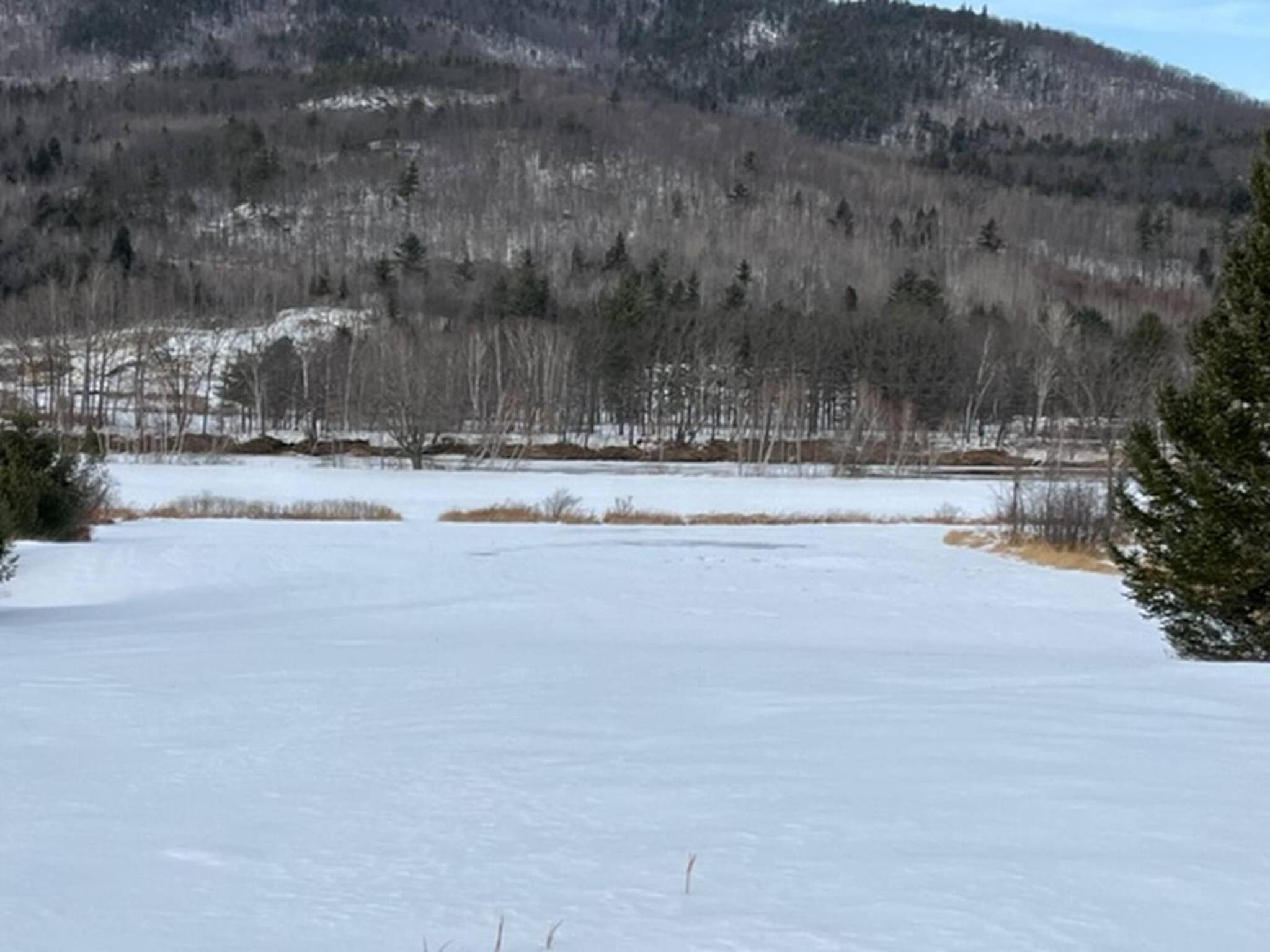 Mountain Retreat with River Views Near Sunday River and Year-Round Adventure