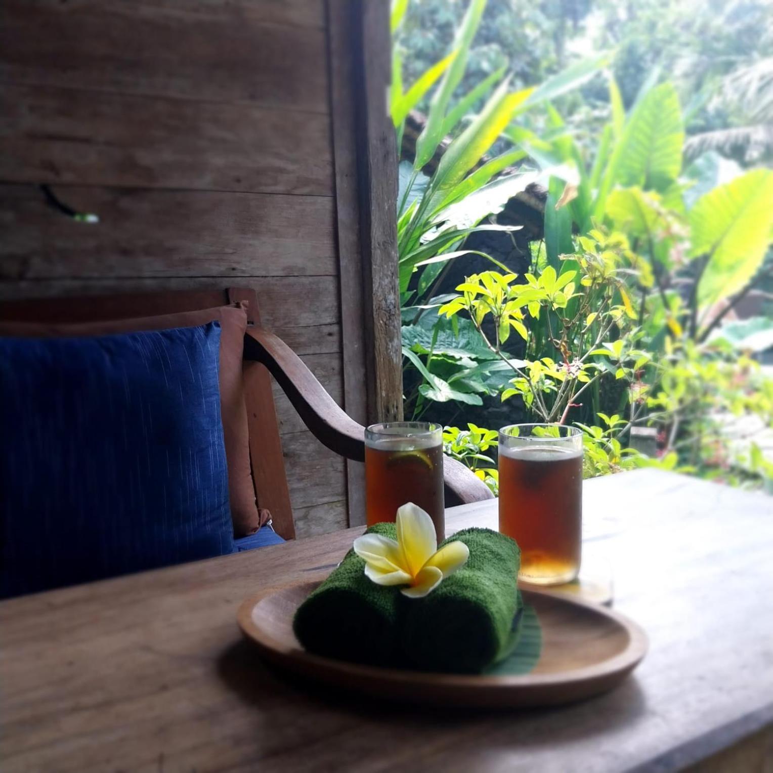 Swarma Villas Eco Jungle Retreat