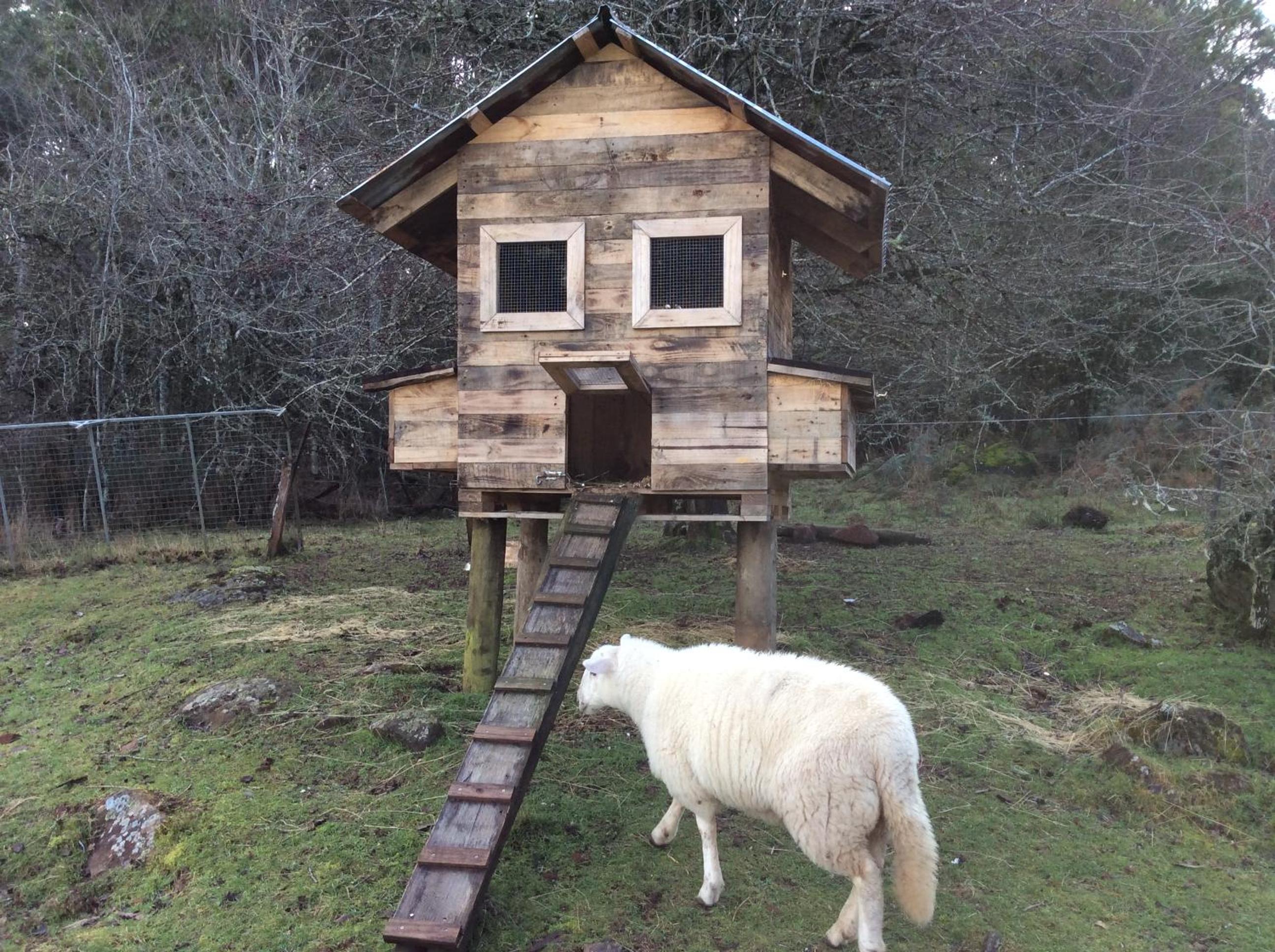 Mole Creek Cabins