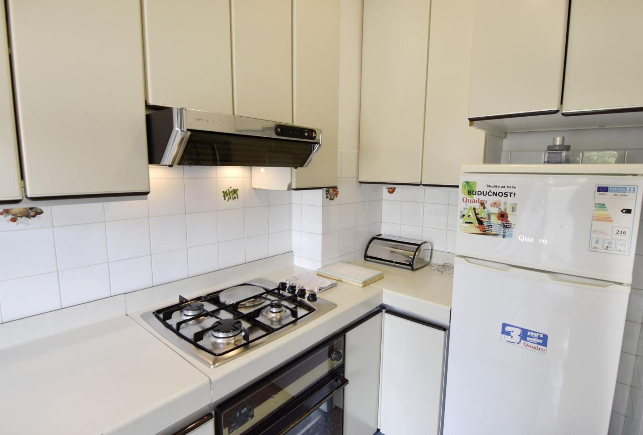 Spacious apartment in Umag with garden