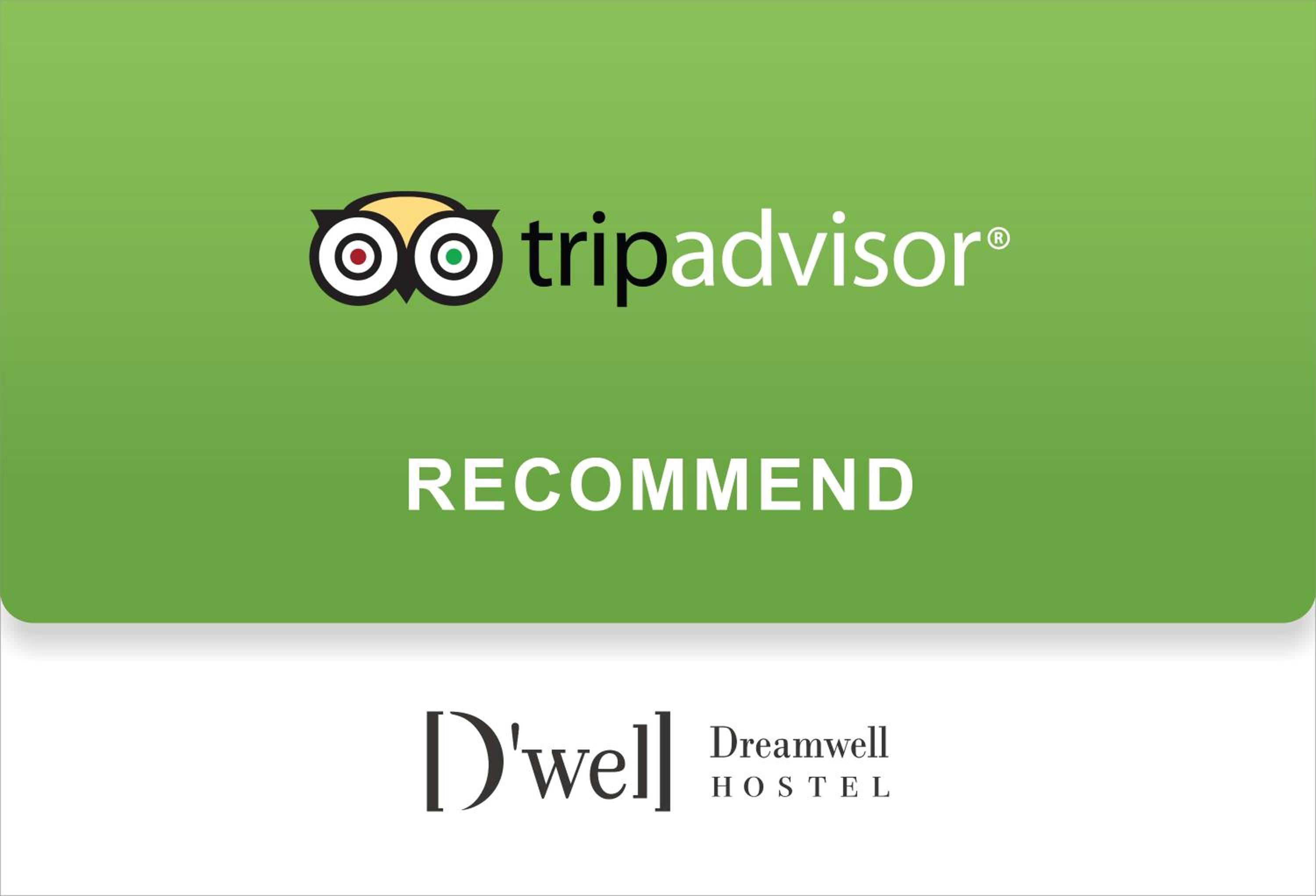 旅悅 國際青年旅館 DreamWell Hostel