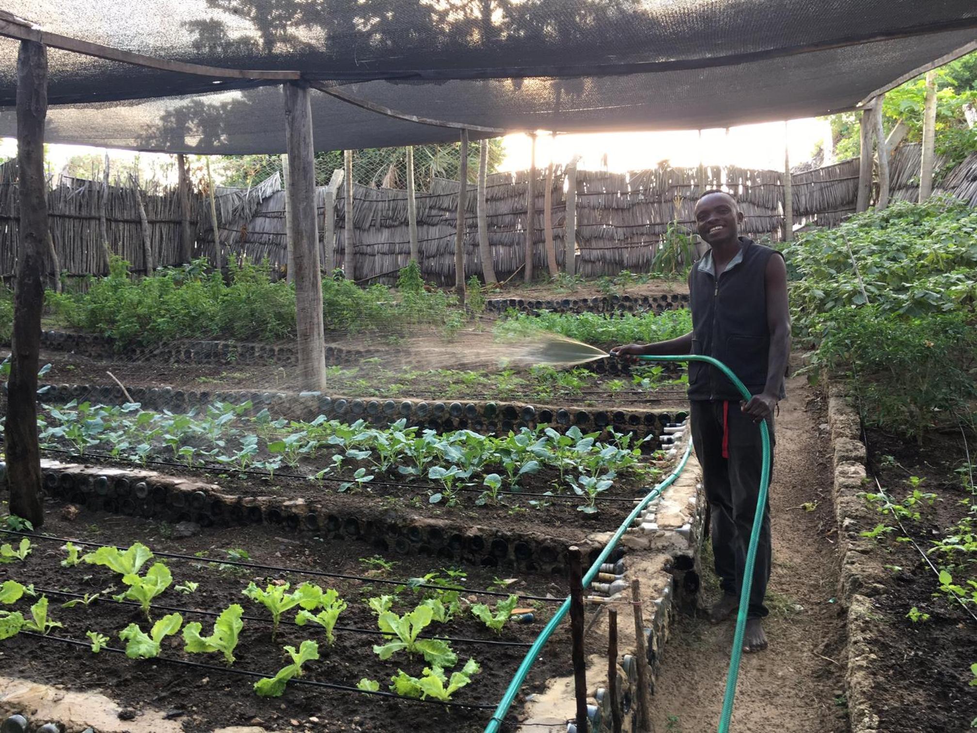 Banana Shamba Estate view 5