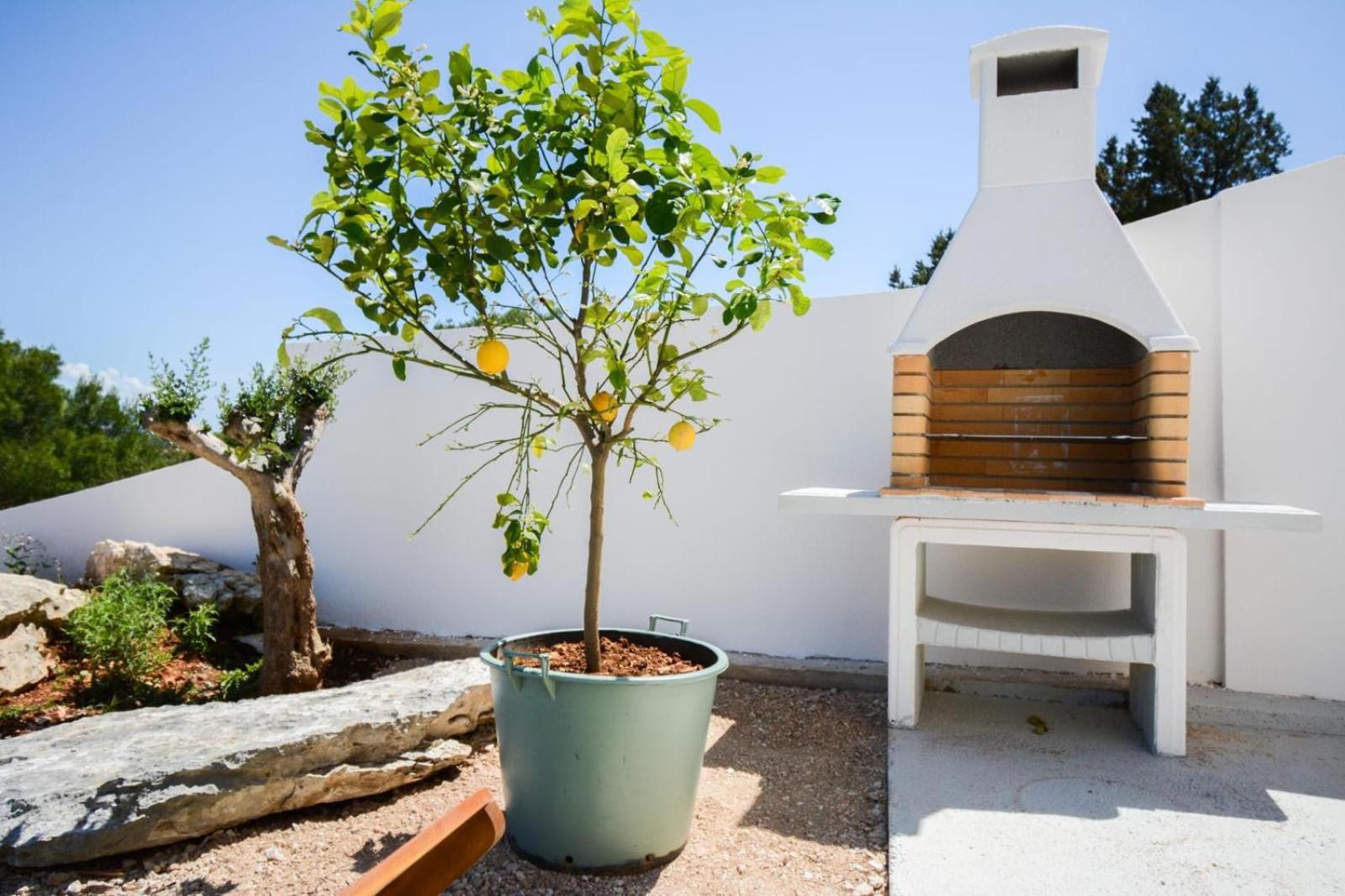 Villa Olea Mare ZadarVillas
