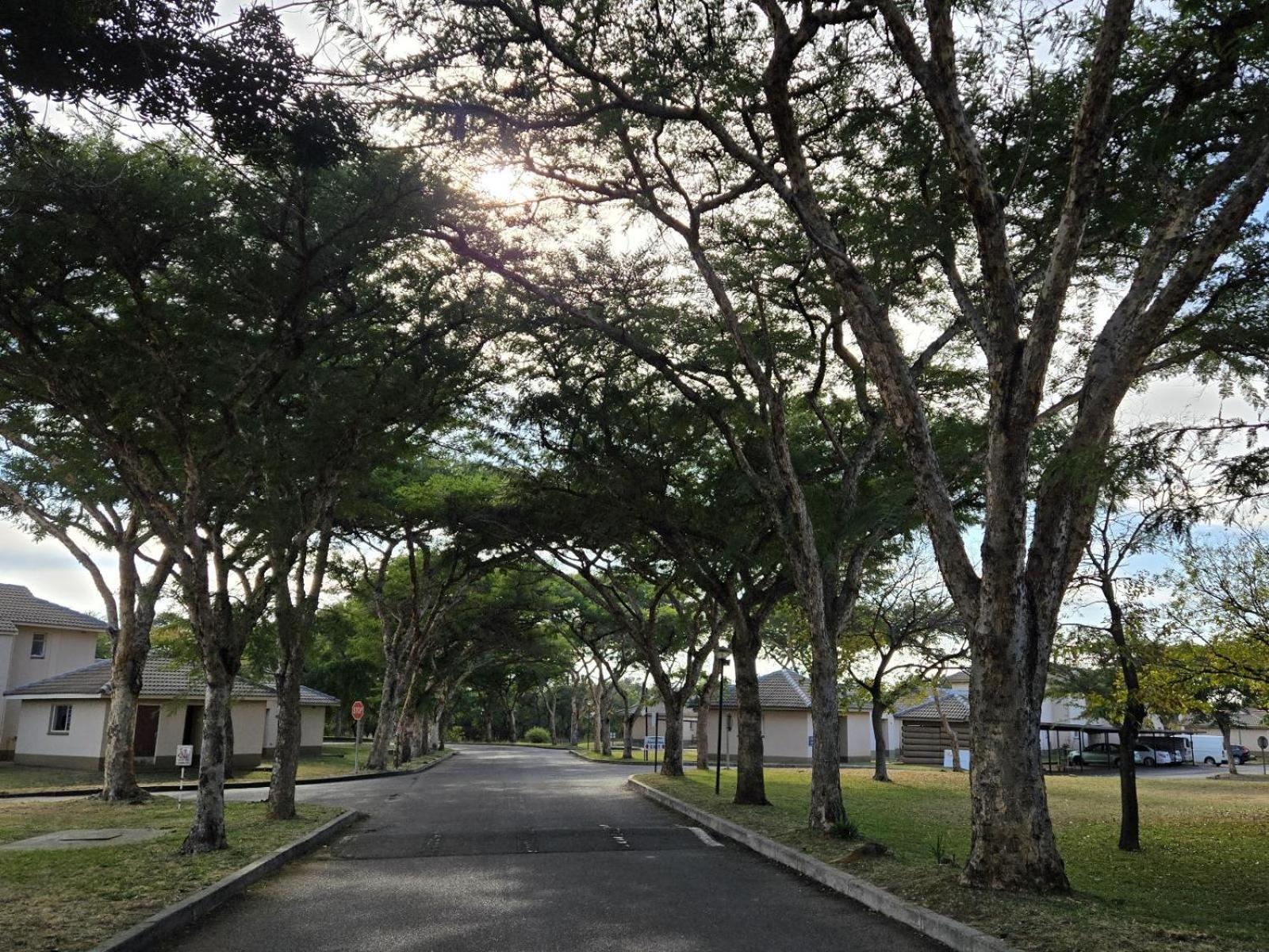 Carousel Eco Estate
