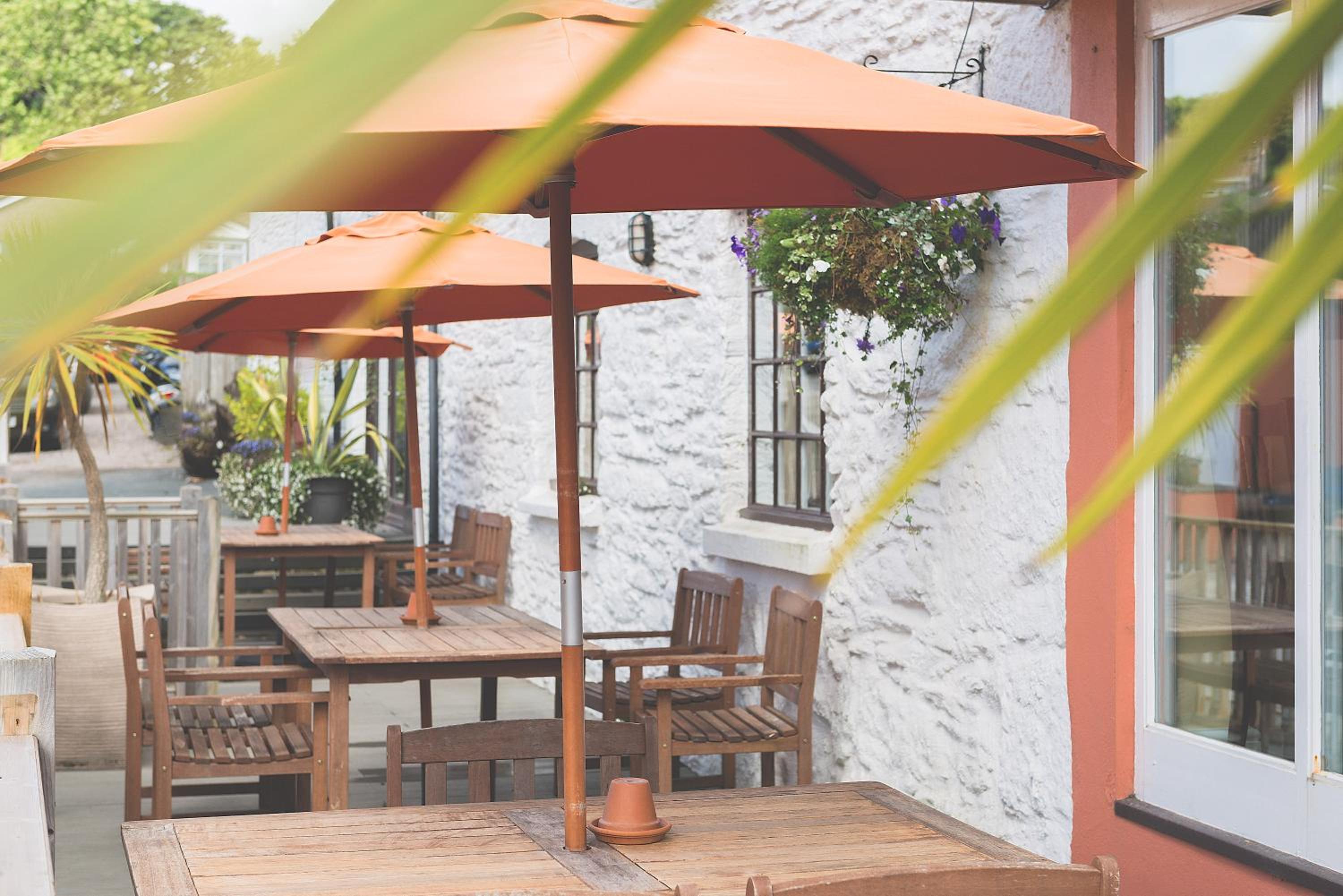 Rose and Crown Yealmpton