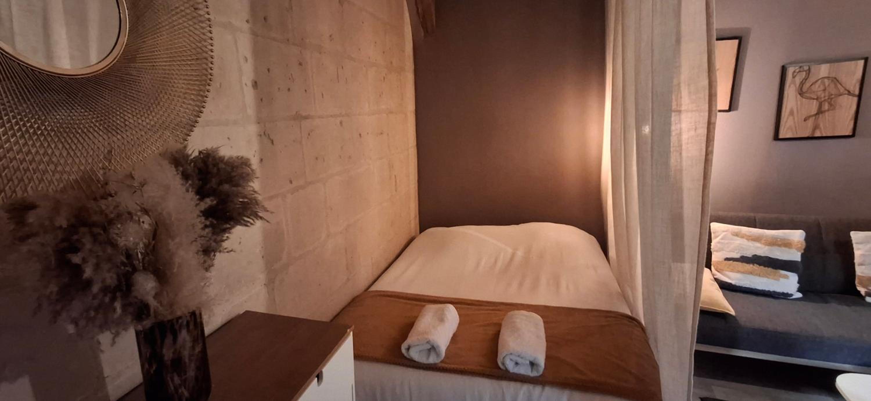 Appartement typique au coeur du vieux Tours